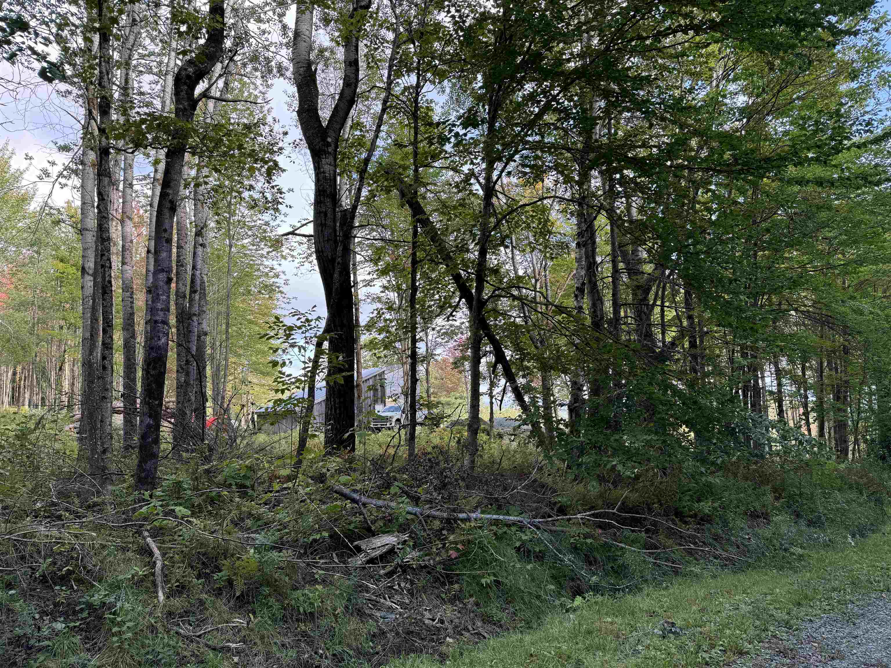 2295 Elmore Pond Road Wolcott, VT 05680 - Photo 13 of 14