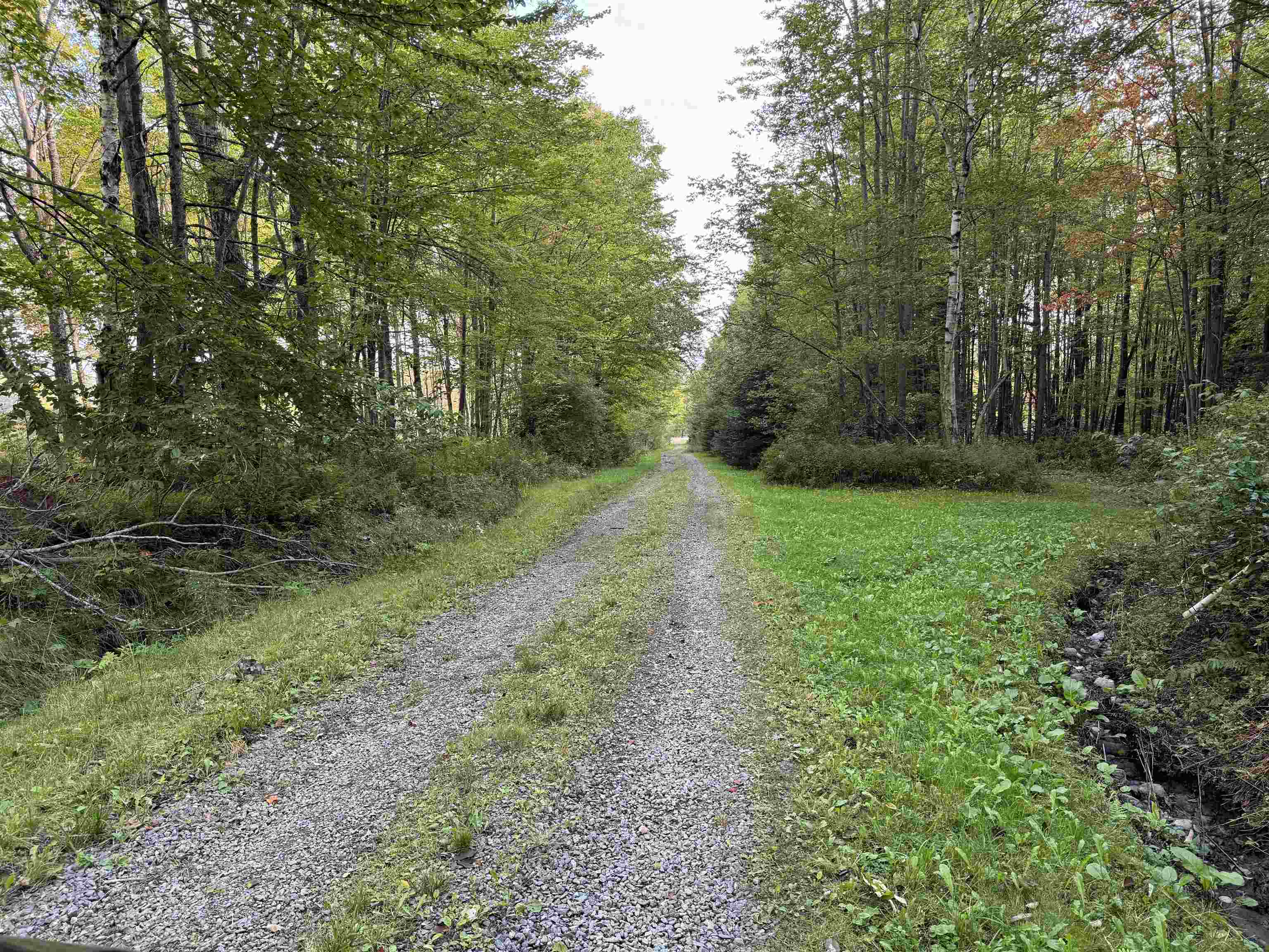 2295 Elmore Pond Road Wolcott, VT 05680 - Photo 3 of 14