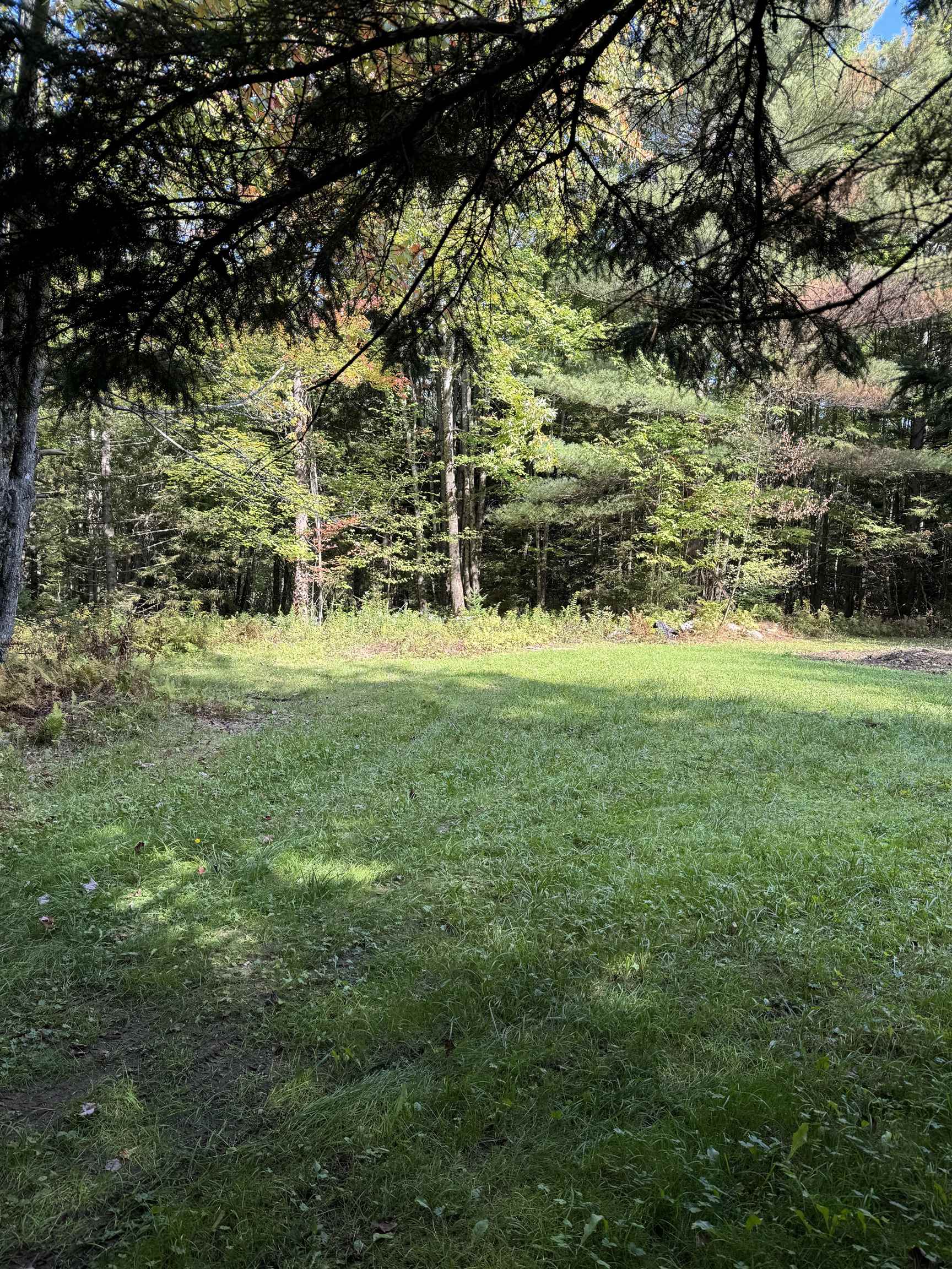 2295 Elmore Pond Road Wolcott, VT 05680 - Photo 4 of 14