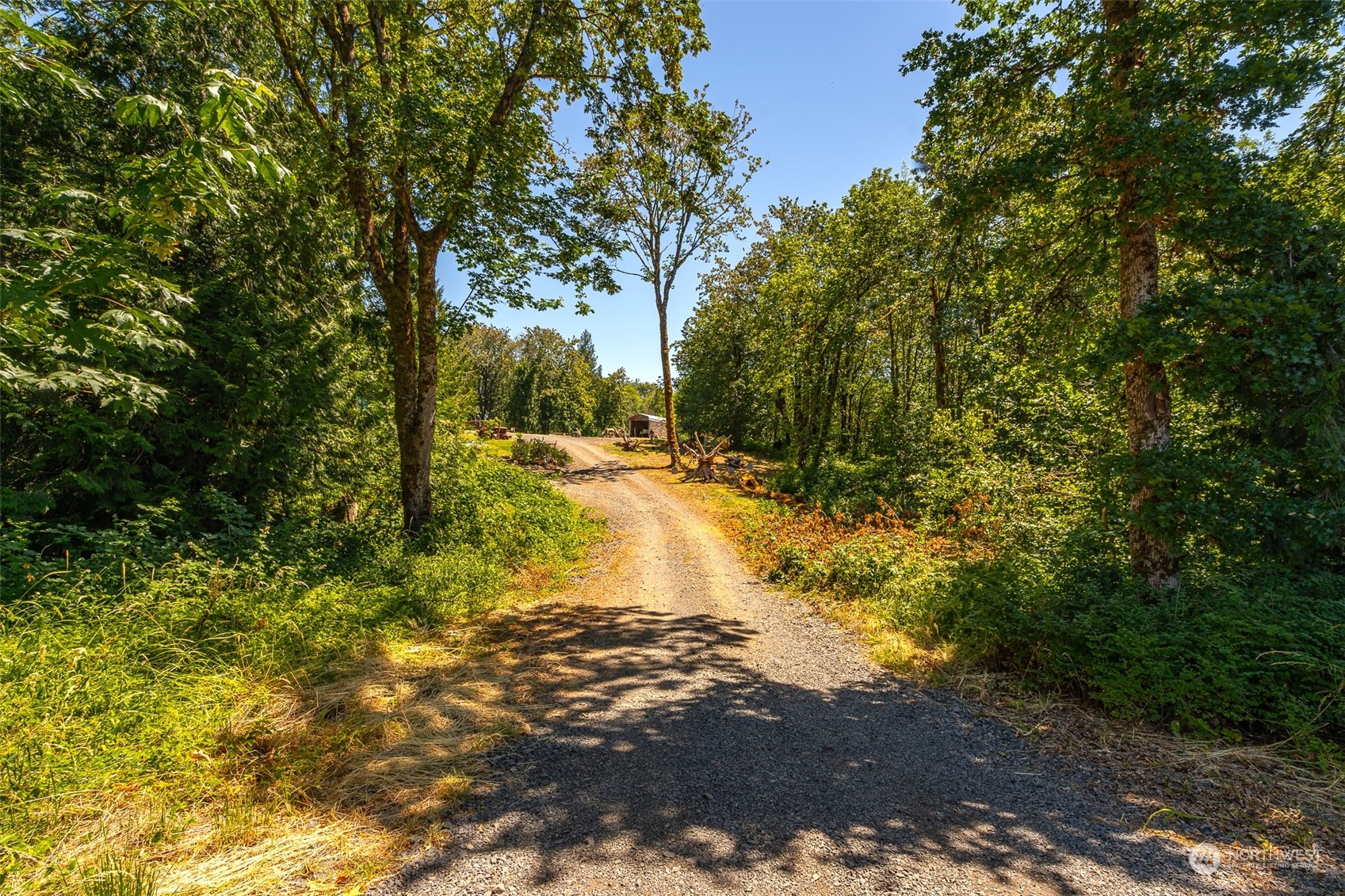 149 Knowles Road Winlock, WA 98596 - Photo 32 of 38 a view of a yard with trees
