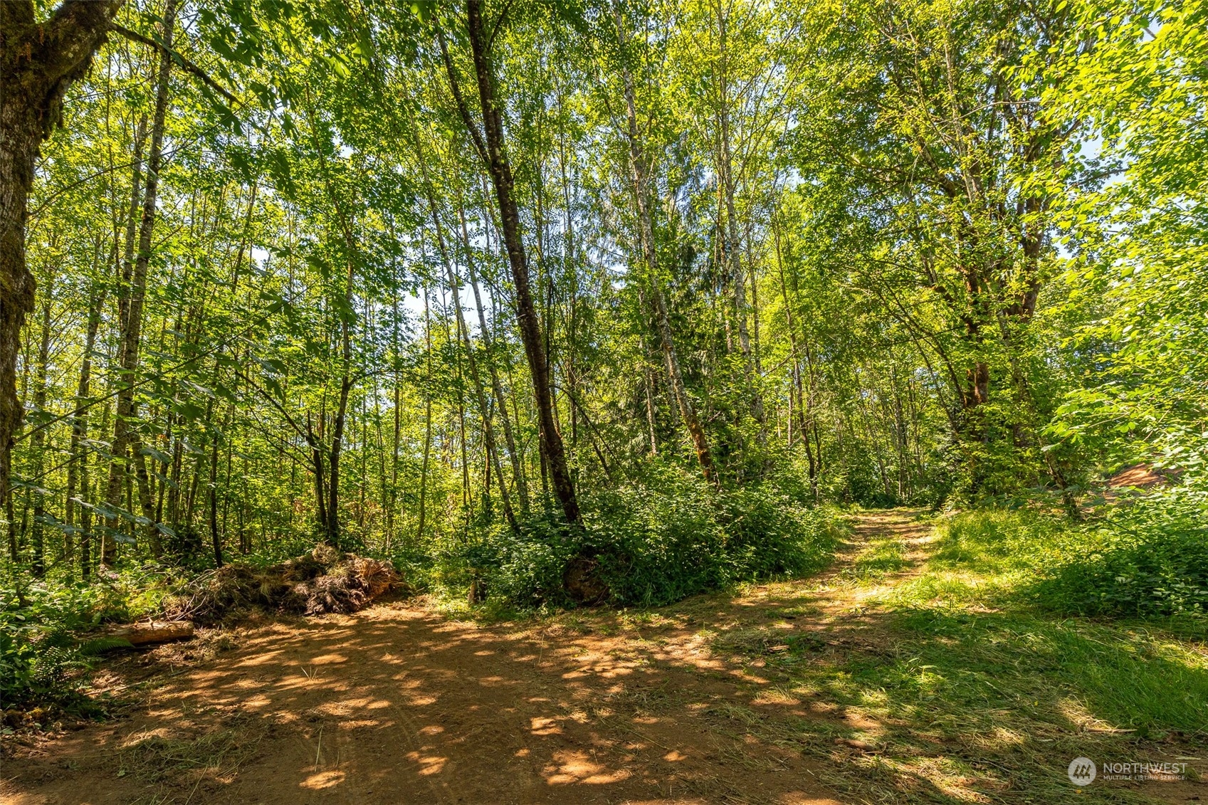 149 Knowles Road Winlock, WA 98596 - Photo 35 of 38 a view of outdoor space and yard