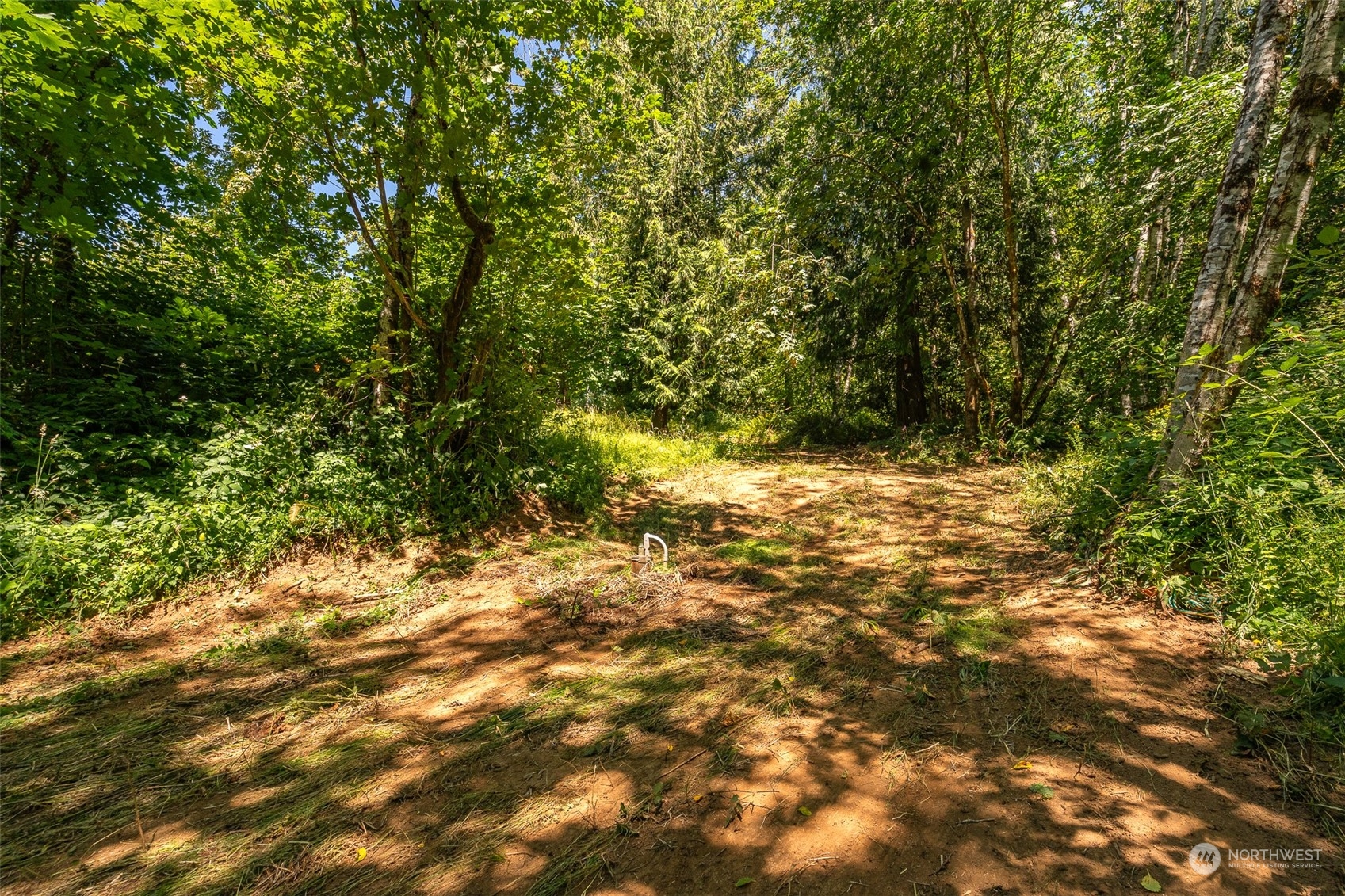 149 Knowles Road Winlock, WA 98596 - Photo 37 of 38 a view of a yard with a tree
