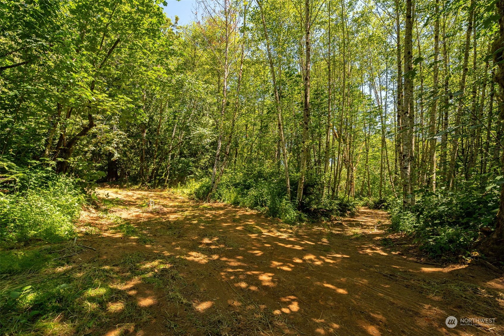 149 Knowles Road Winlock, WA 98596 - Photo 38 of 38 a view of a yard with plants and trees