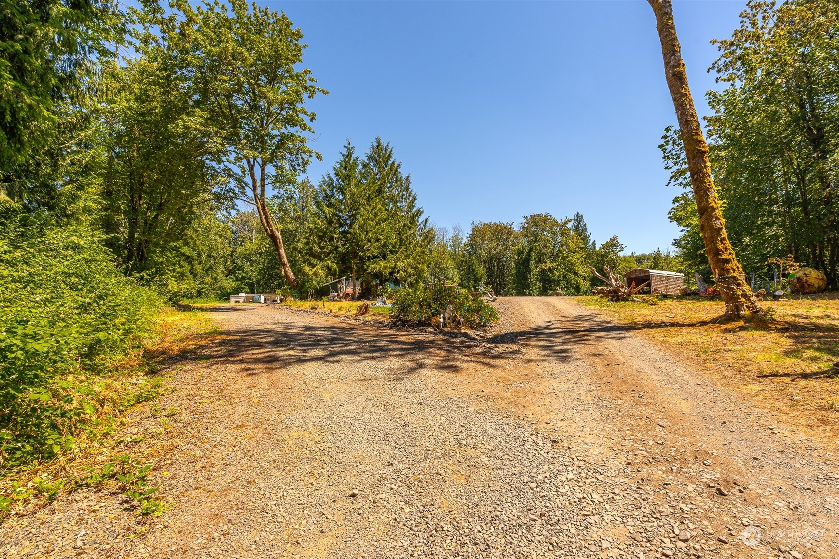 149 Knowles Road Winlock, WA 98596 - Photo 4 of 38 a view of empty space and tree