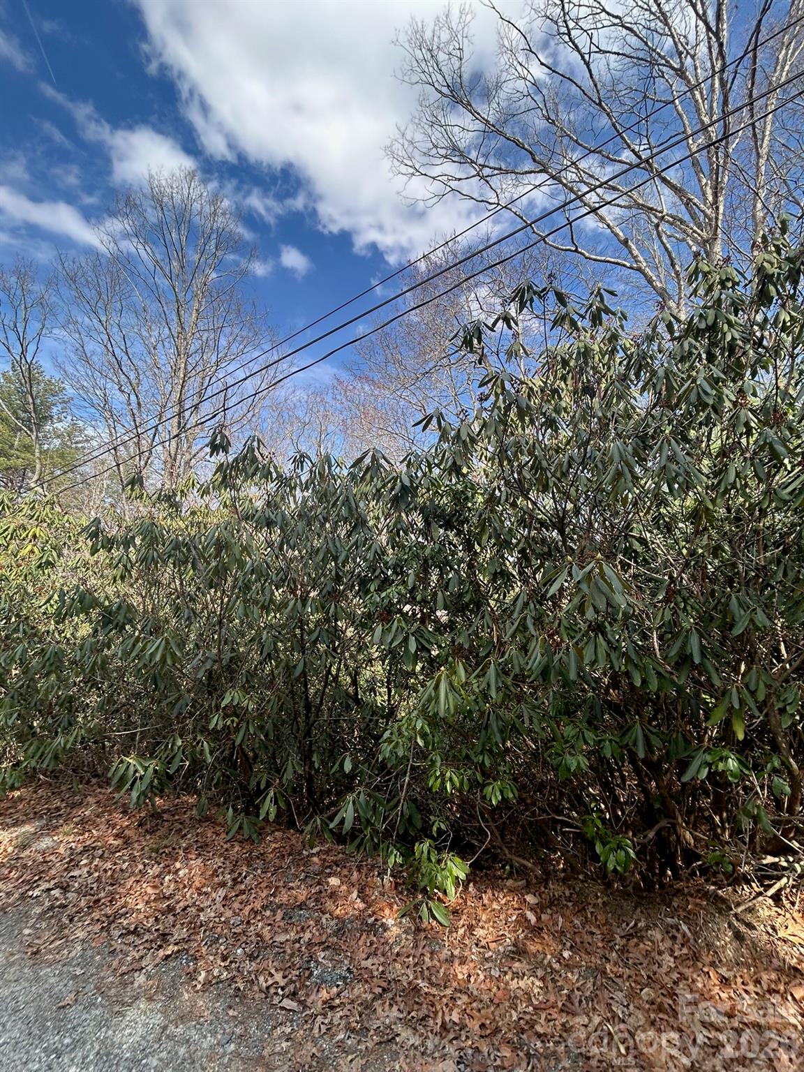 Lot 38 High Peak Road Hendersonville, NC 28739 - Photo 3 of 4