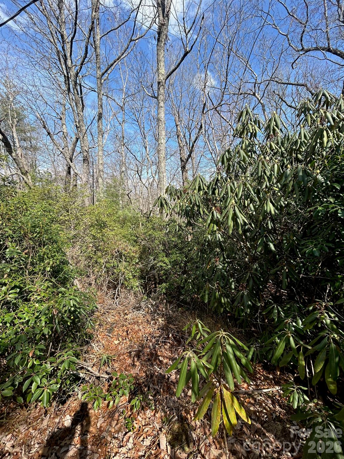 Lot 38 High Peak Road Hendersonville, NC 28739 - Photo 4 of 4