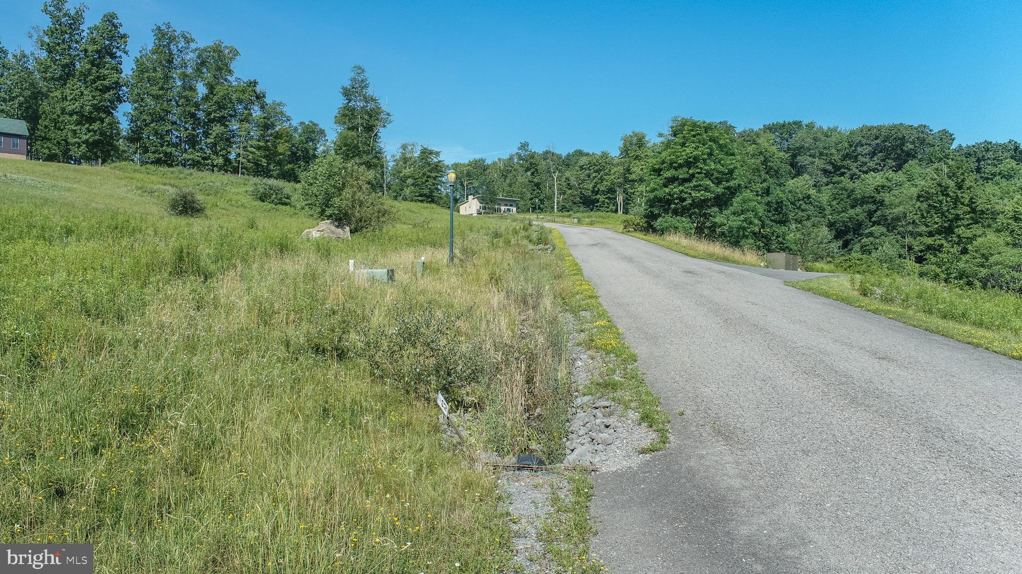 Lot 13 Bray Run Road Oakland, MD 21550 - Photo 12 of 23 a view of a lush green forest
