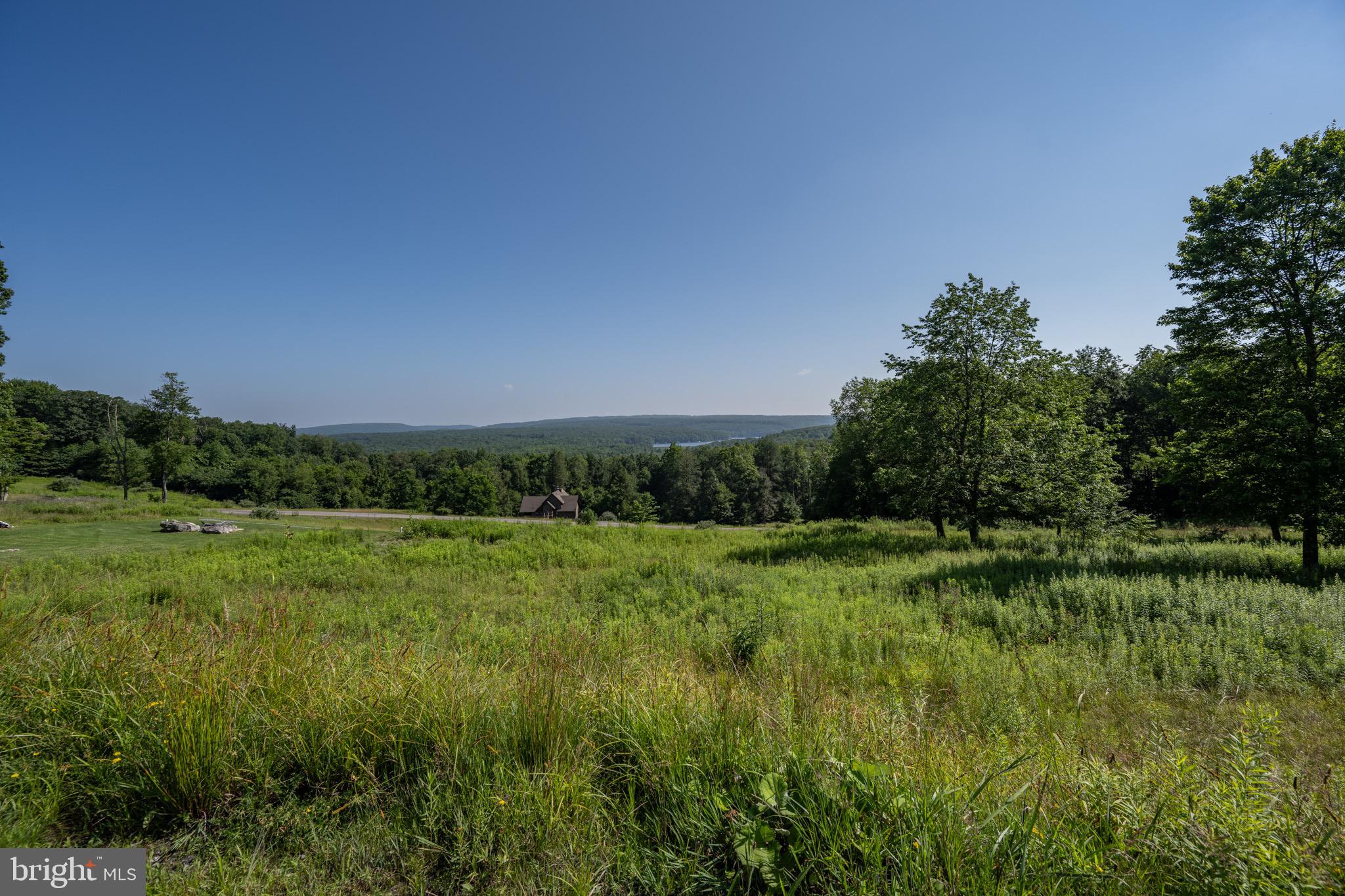 Lot 13 Bray Run Road Oakland, MD 21550 - Photo 16 of 23 a view of a lush green space