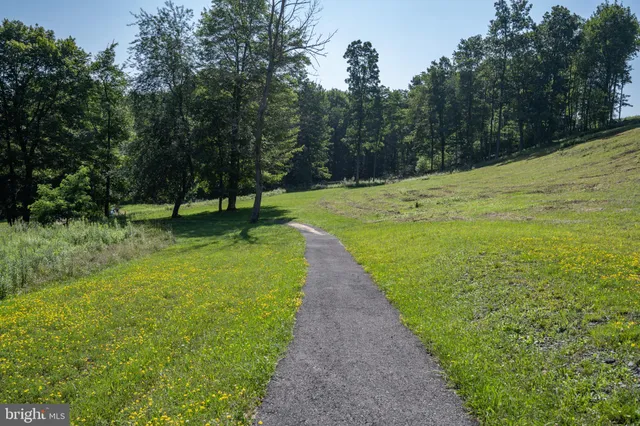 a view of a park with slide