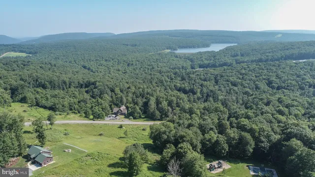 a view of a forest with a yard