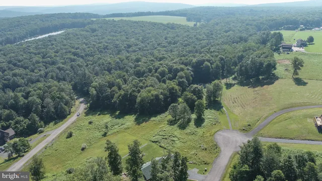 a view of a lush green outdoor space with a lake view