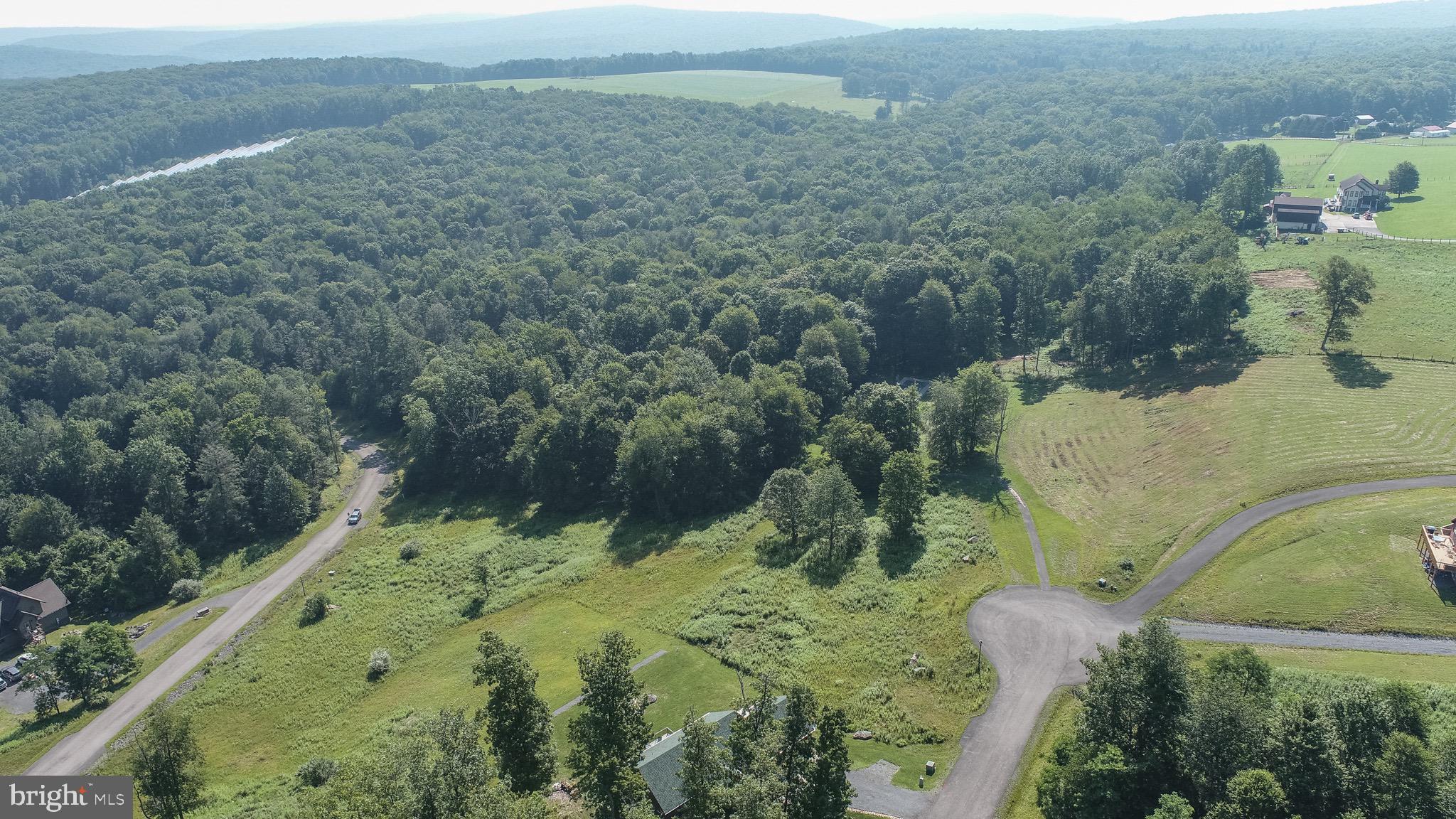 Lot 13 Bray Run Road Oakland, MD 21550 - Photo 7 of 23 a view of a forest with a yard