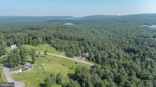 a view of a lush green space