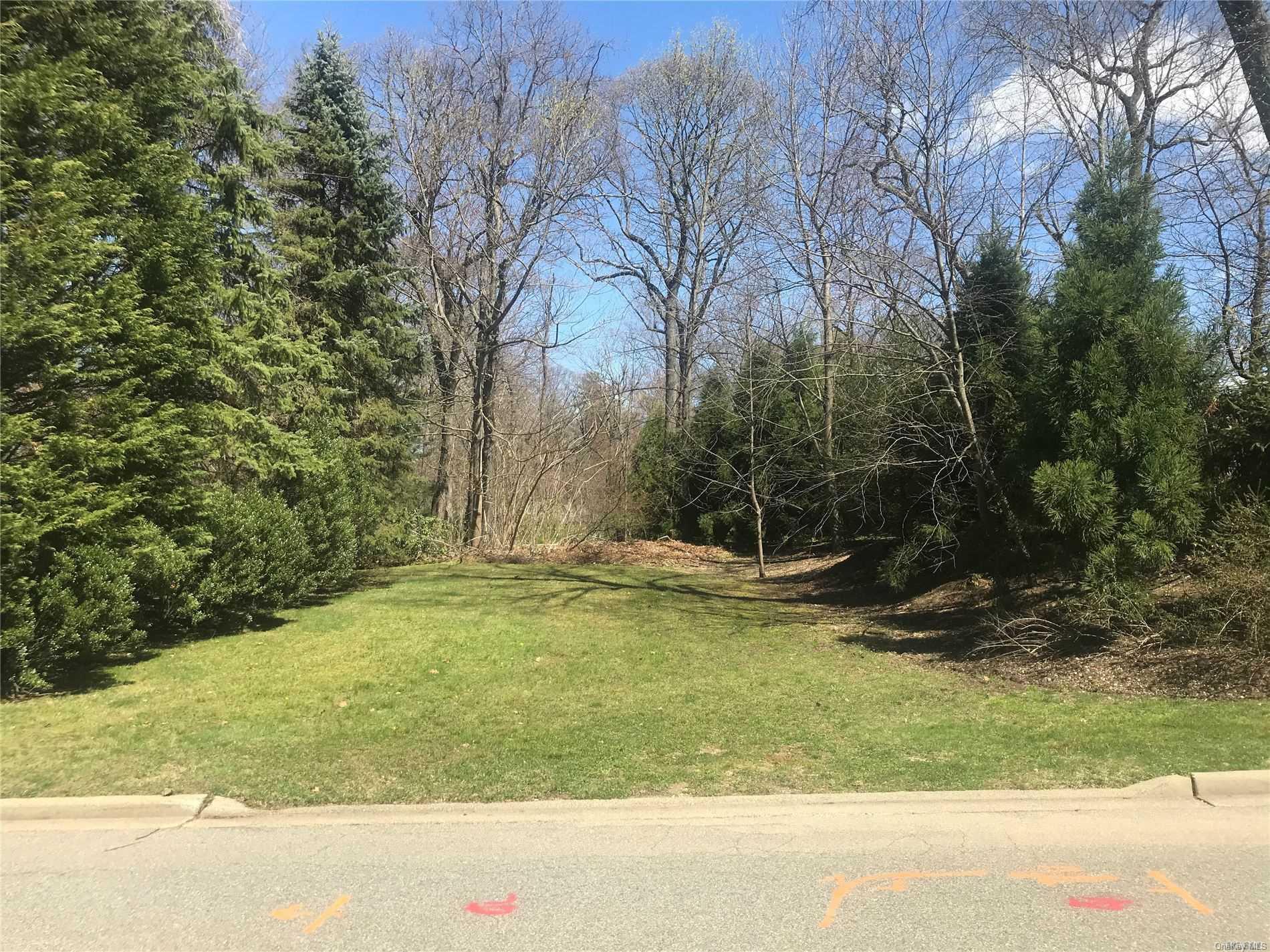 7 Saddle Ridge Road Old Westbury, NY 11568 - Photo 1 of 1 Driveway