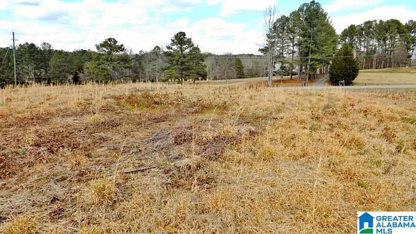 0 Highway 231, Unit 1 5 Oneonta, AL 35121 - Photo 12 of 23