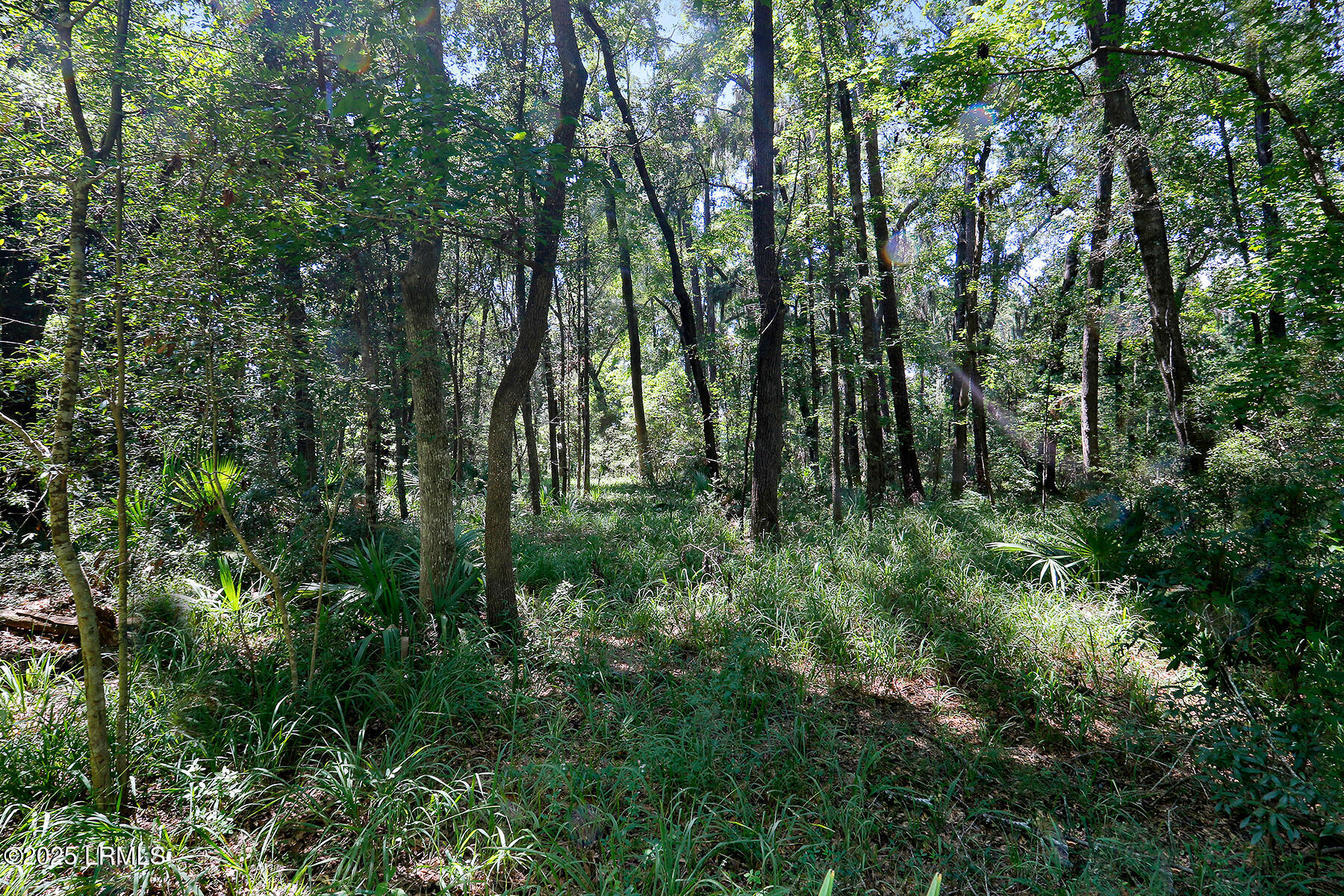 106 Barnaby Bluff Seabrook, SC 29940 - Photo 33 of 49 106 Barnaby Bluff-33