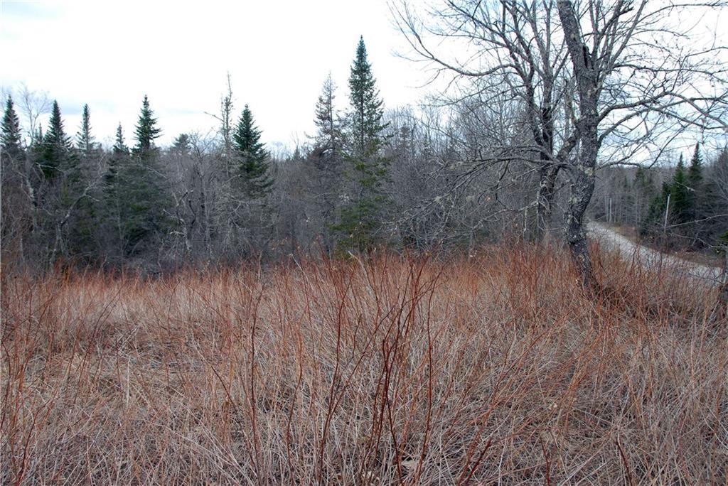 0 Cedar Swamp Road Orland, ME 04472 - Photo 9 of 24 Photo