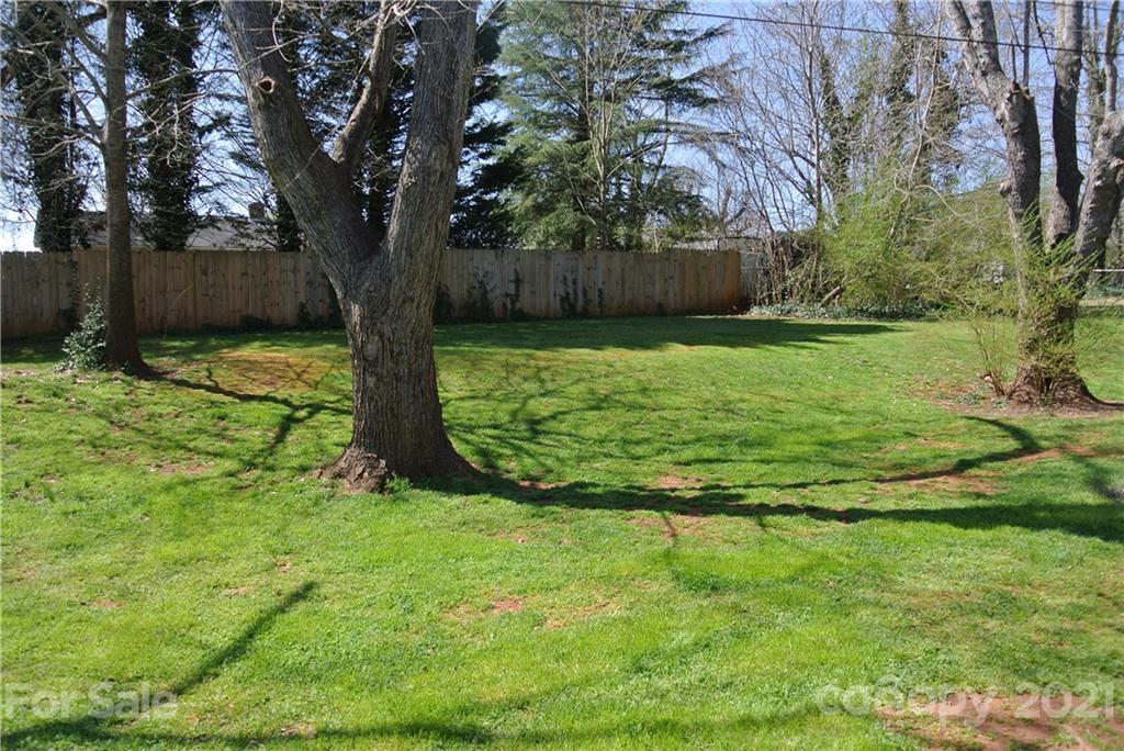173 Tanner Street Rutherfordton, NC 28139 - Photo 23 of 25 a view of a backyard with large trees