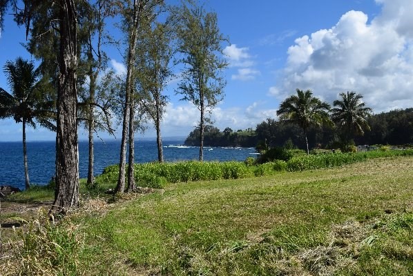 24 Lot Pepeekeo, HI 96783 - Photo 14 of 18