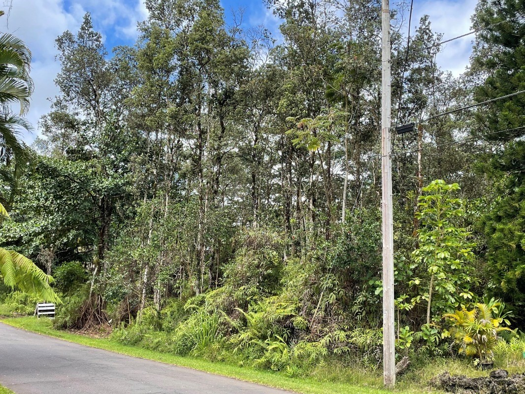 1069 Kapuna Road Pahoa, HI 96778 - Photo 1 of 5 Gallery Image 1