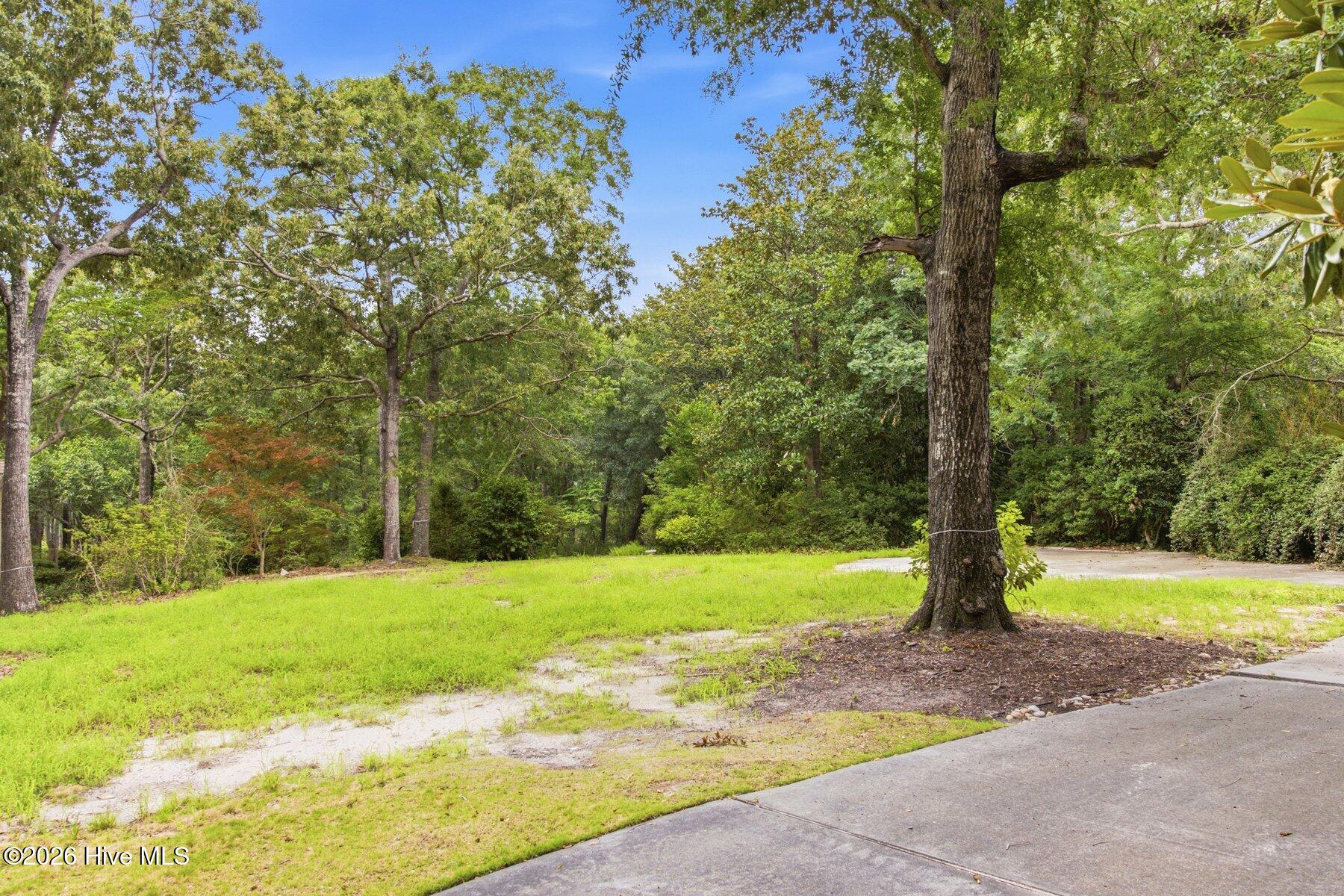 813 Gull Point Road Wilmington, NC 28405 - Photo 11 of 20 008_813_gull_point-8_17