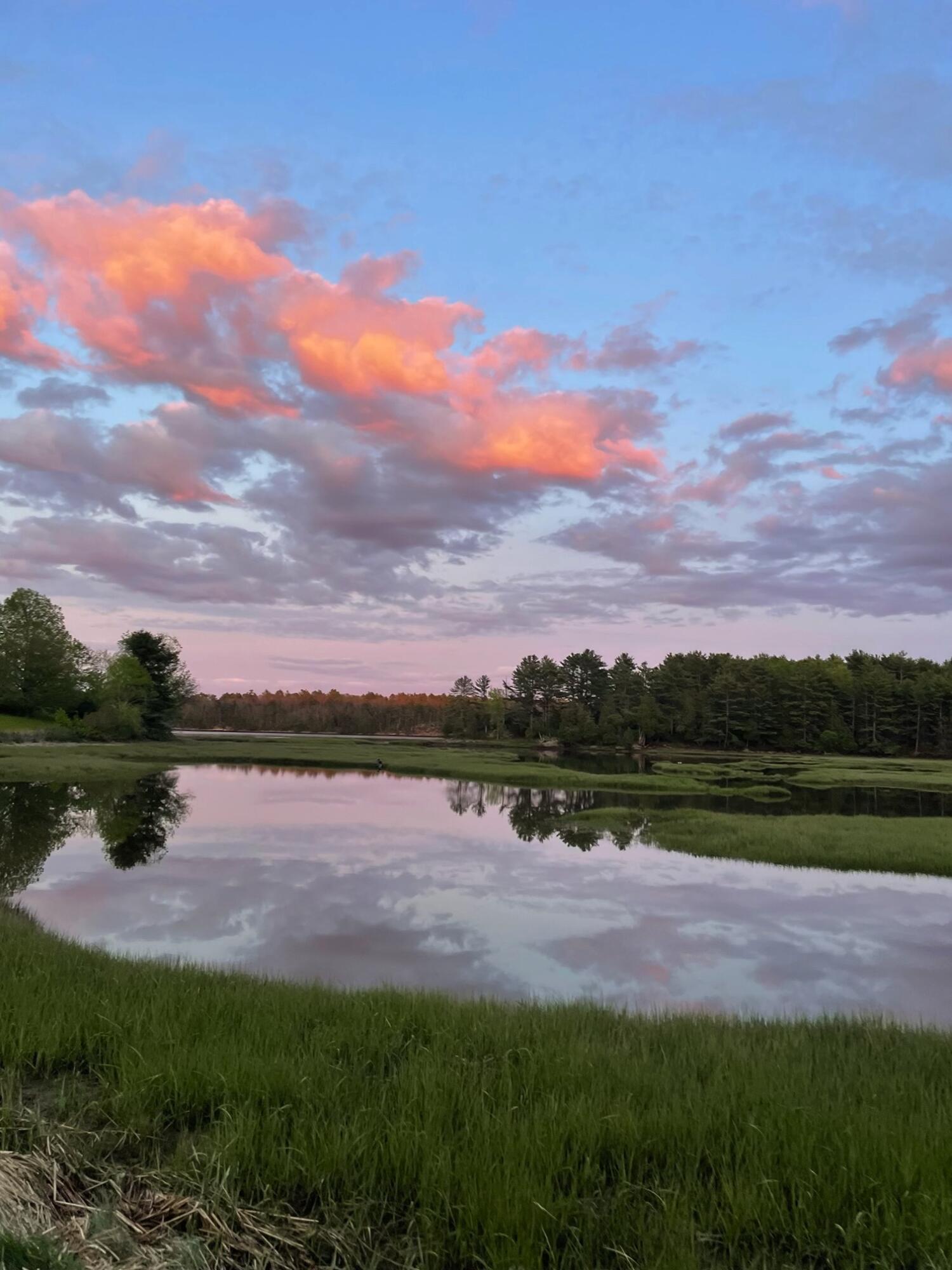 241 Old Stage Road Arrowsic, ME 04530 - Photo 44 of 51 View from Trails Nearby