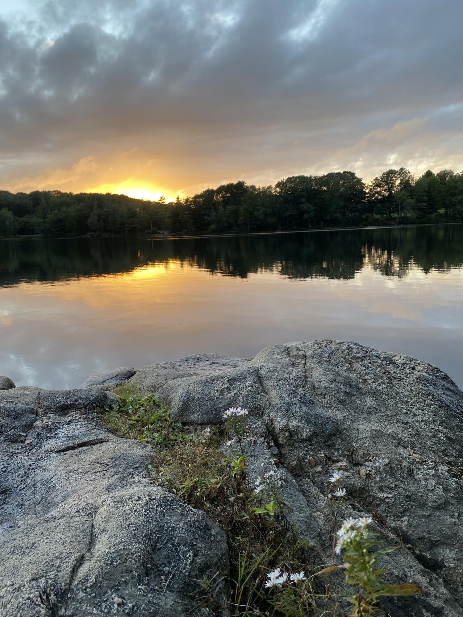 241 Old Stage Road Arrowsic, ME 04530 - Photo 49 of 51 Arrowsic Photo