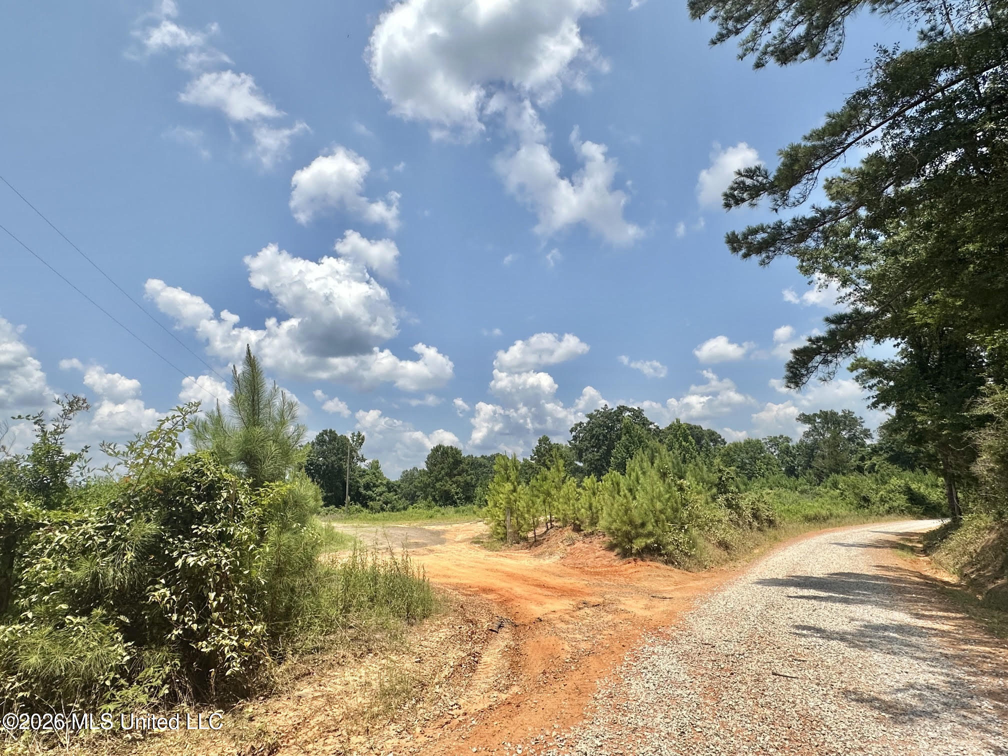 Callahan Road Carthage, MS 39051 - Photo 2 of 14 2