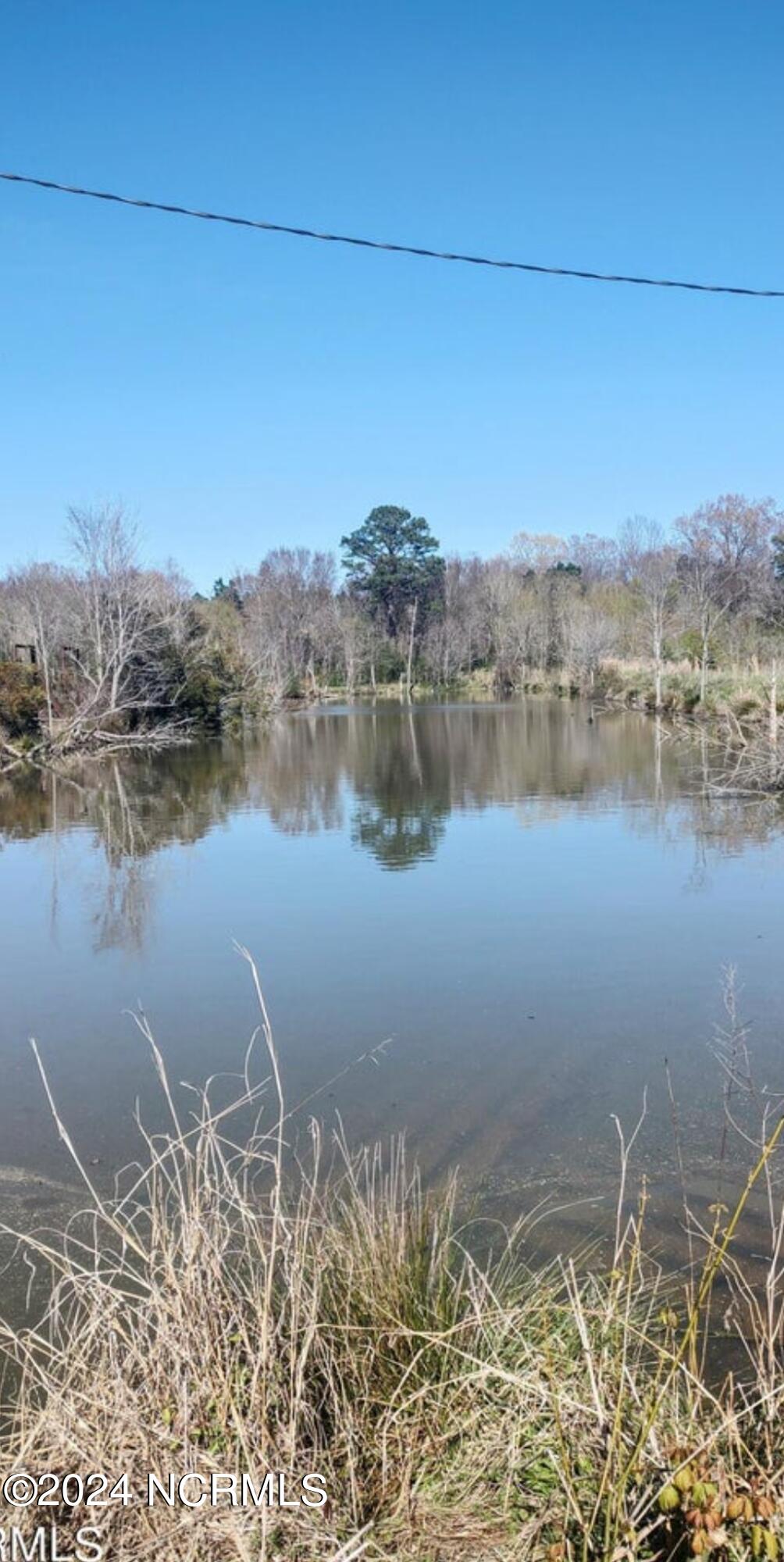 350 Hoggard Mill Road Windsor, NC 27983 - Photo 7 of 8 1000003938