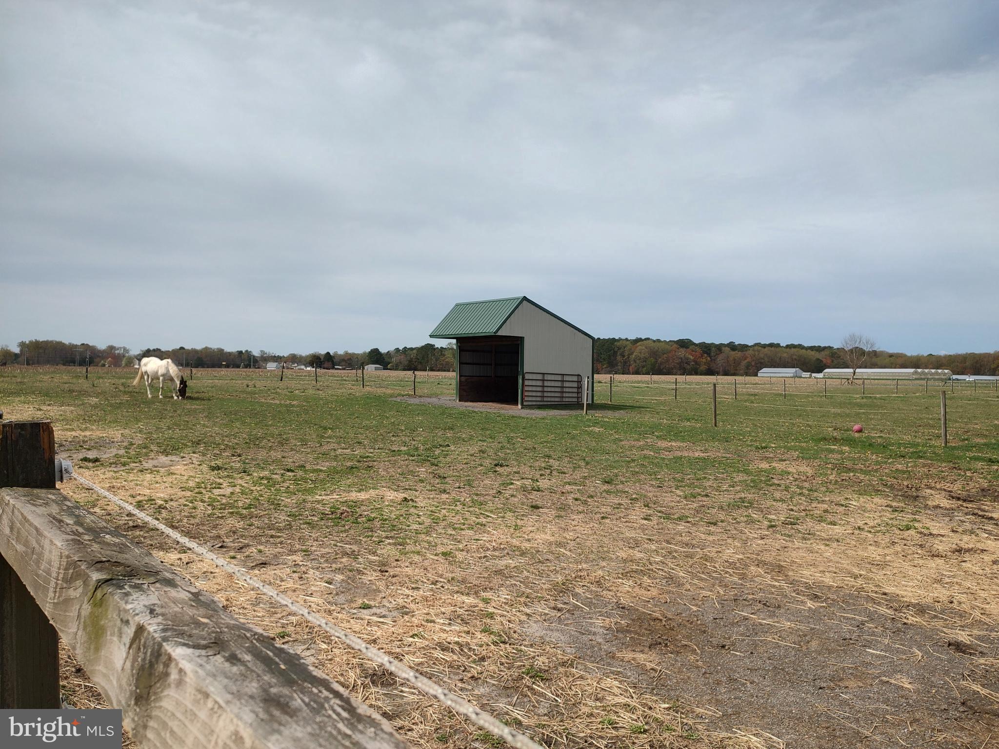 26268 Baker Road Denton, MD 21629 - Photo 39 of 55 Pasture