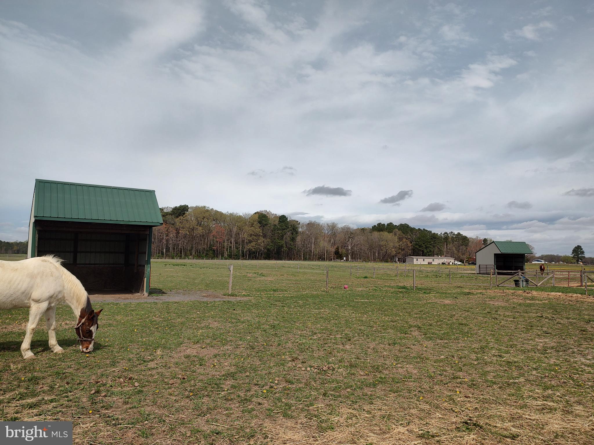 26268 Baker Road Denton, MD 21629 - Photo 40 of 55 a view of an outdoor space and mountain view