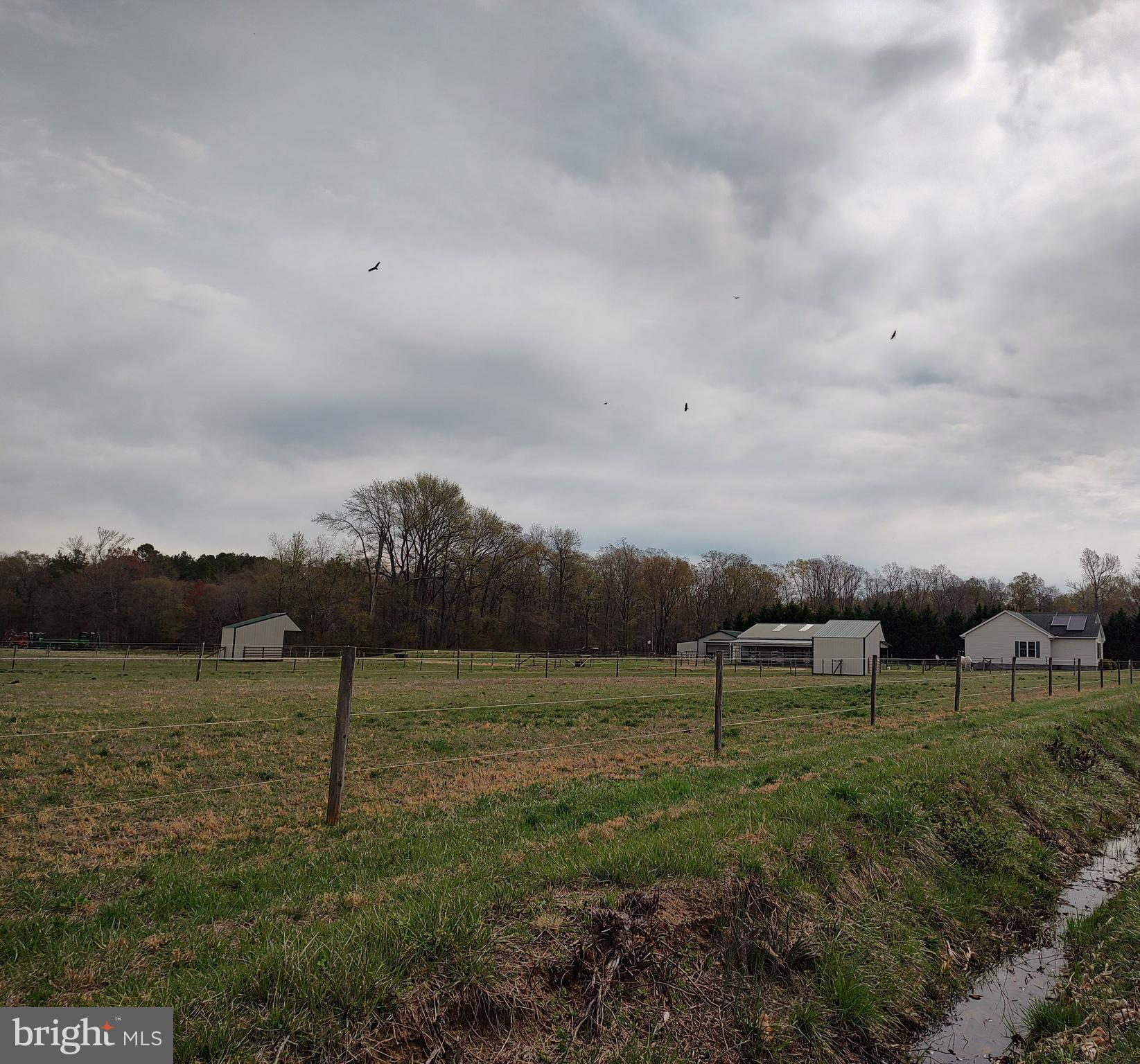 26268 Baker Road Denton, MD 21629 - Photo 52 of 55 a view of an outdoor space and city view