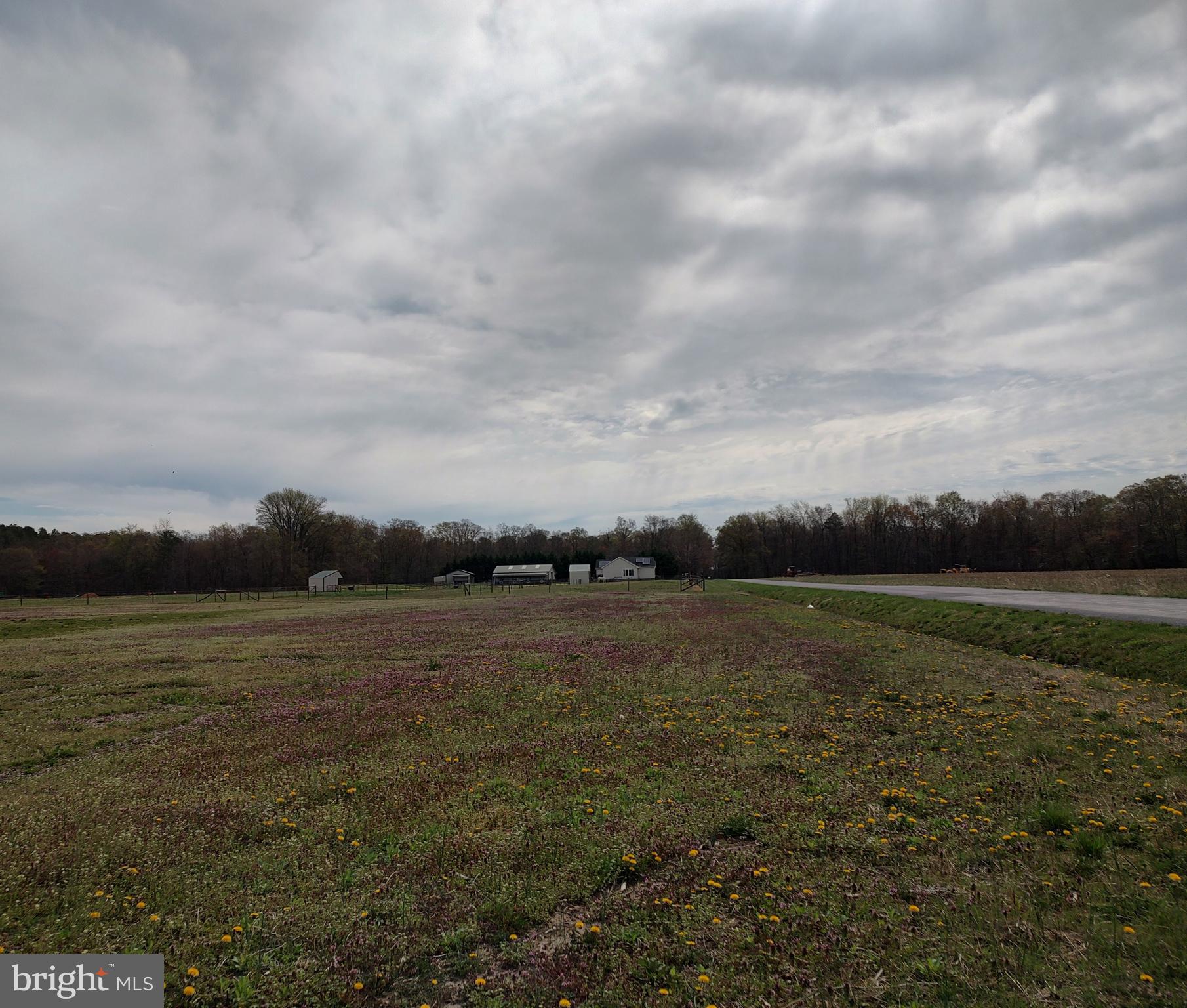 26268 Baker Road Denton, MD 21629 - Photo 53 of 55 a view of an ocean and beach