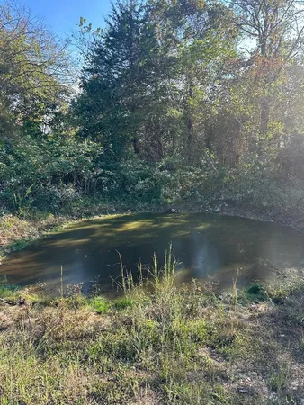 $49,900 | 0 North Hwy Mountain Grove, Mountain Grove, MO 65711