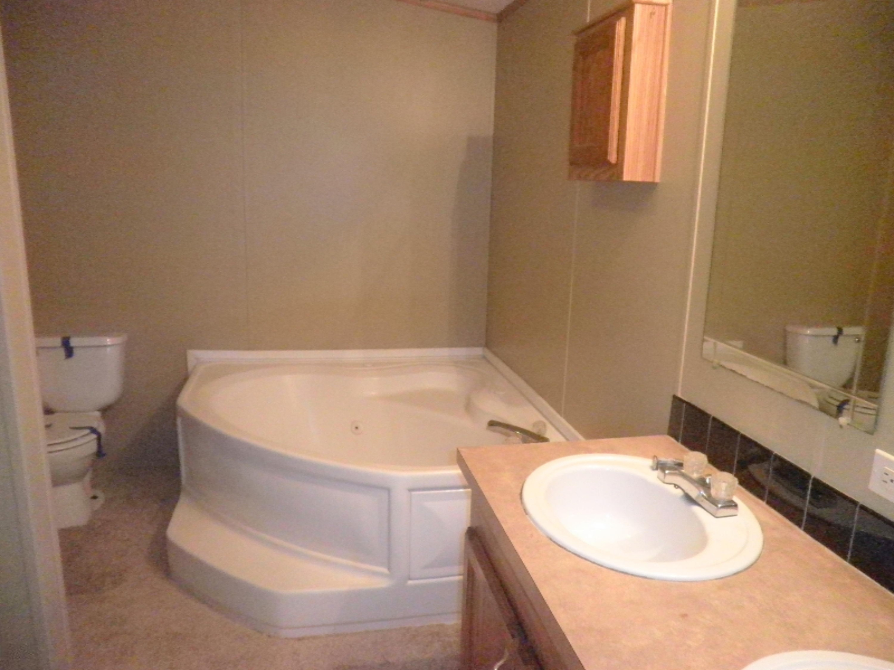 2007 West Long Lake Road Orleans, MI 48865 - Photo 14 of 31 P1010017