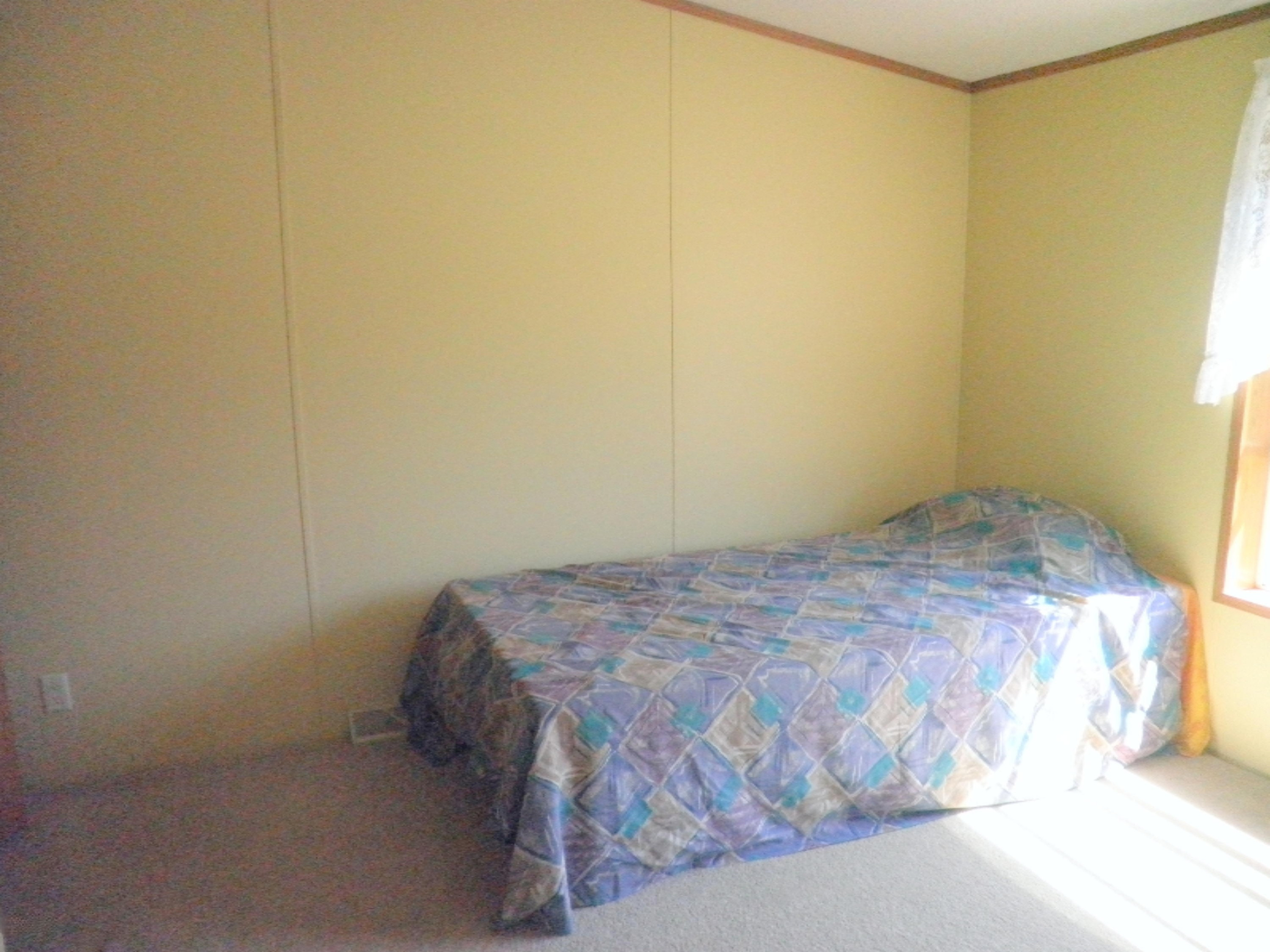 2007 West Long Lake Road Orleans, MI 48865 - Photo 23 of 31 P1010037