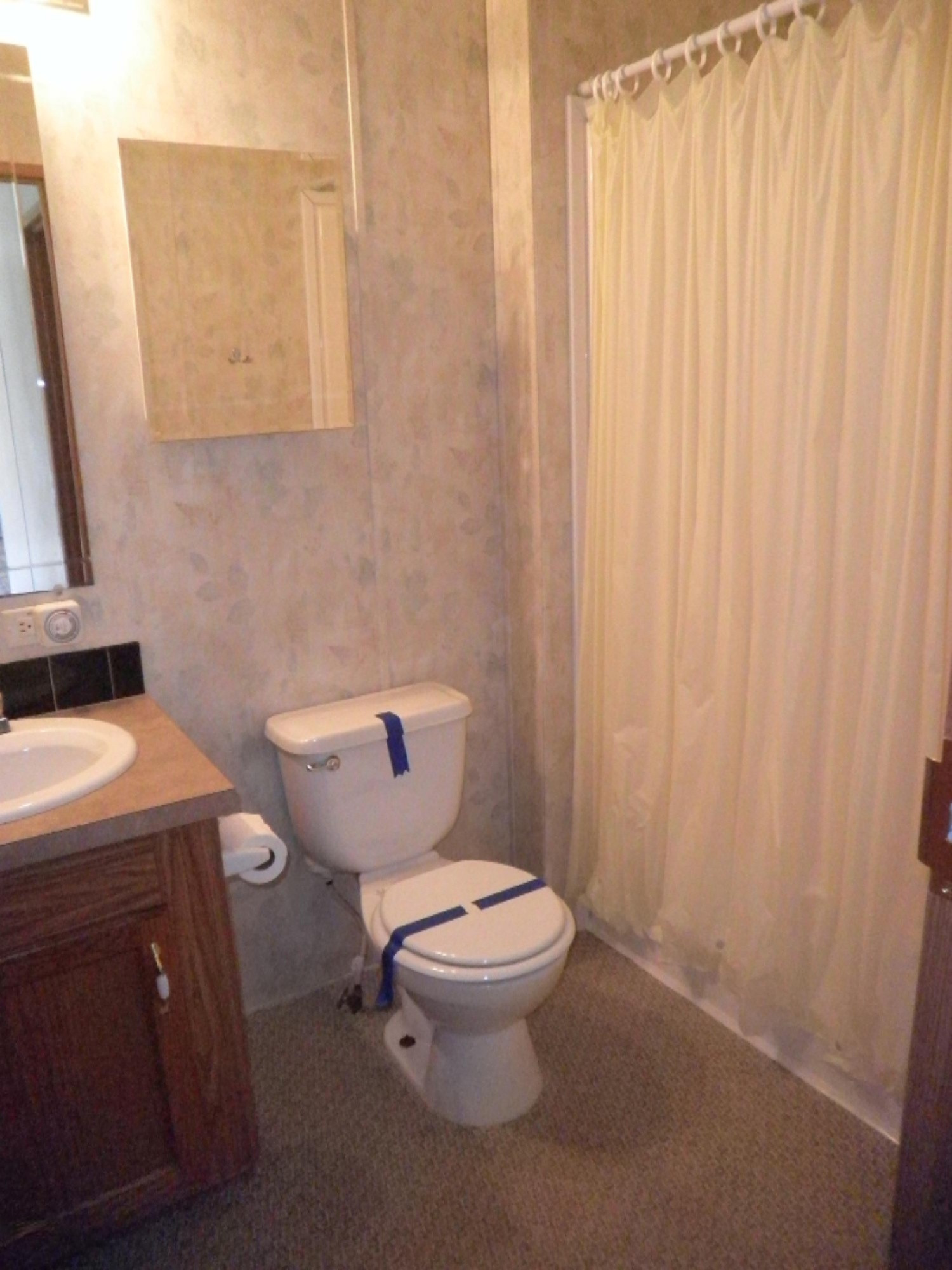 2007 West Long Lake Road Orleans, MI 48865 - Photo 25 of 31 P1010052