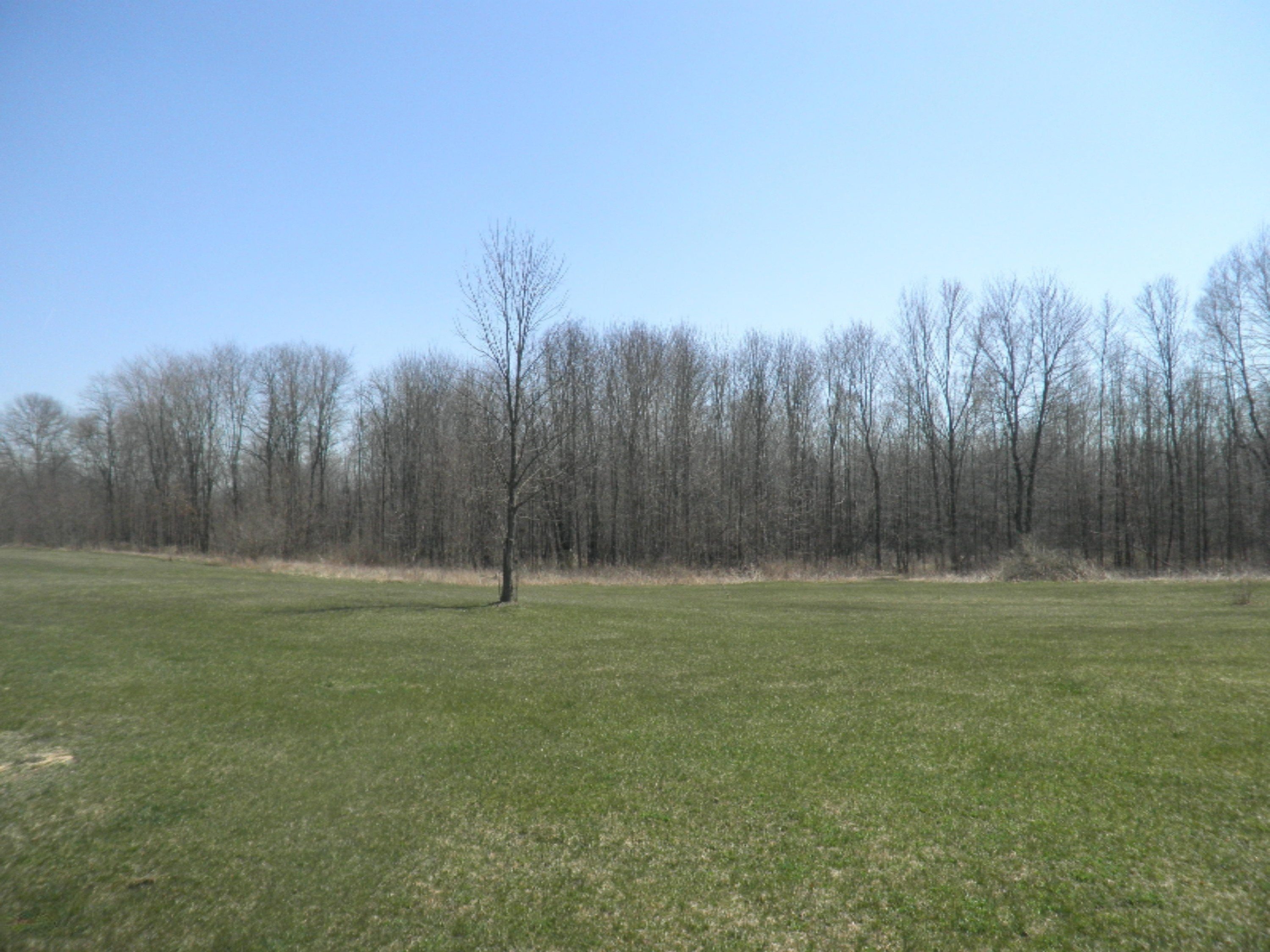 2007 West Long Lake Road Orleans, MI 48865 - Photo 29 of 31 P1010004