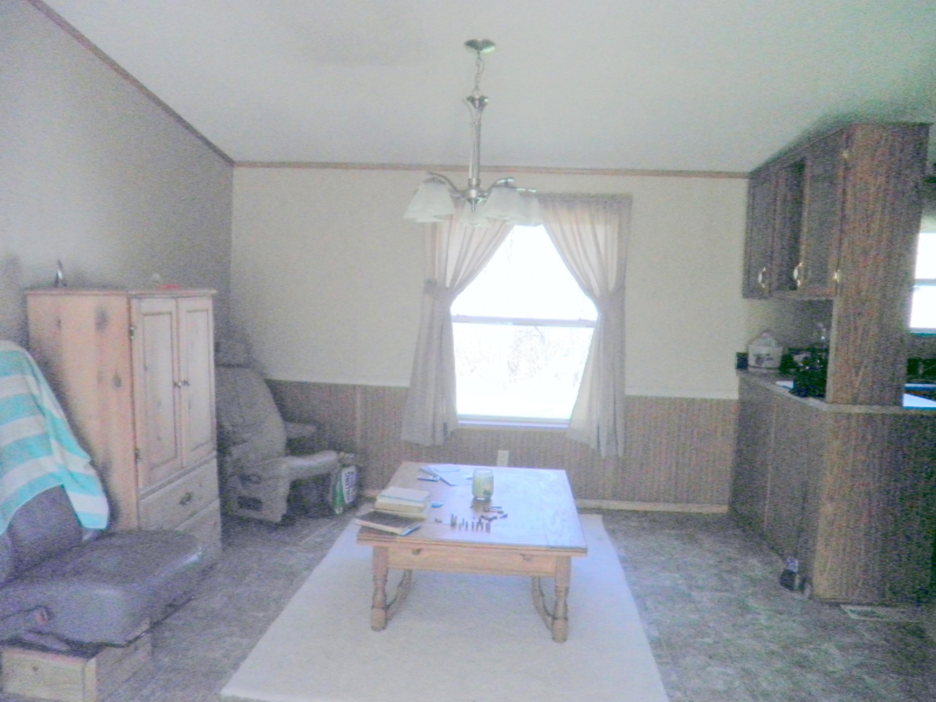 2007 West Long Lake Road Orleans, MI 48865 - Photo 3 of 31 P1010029