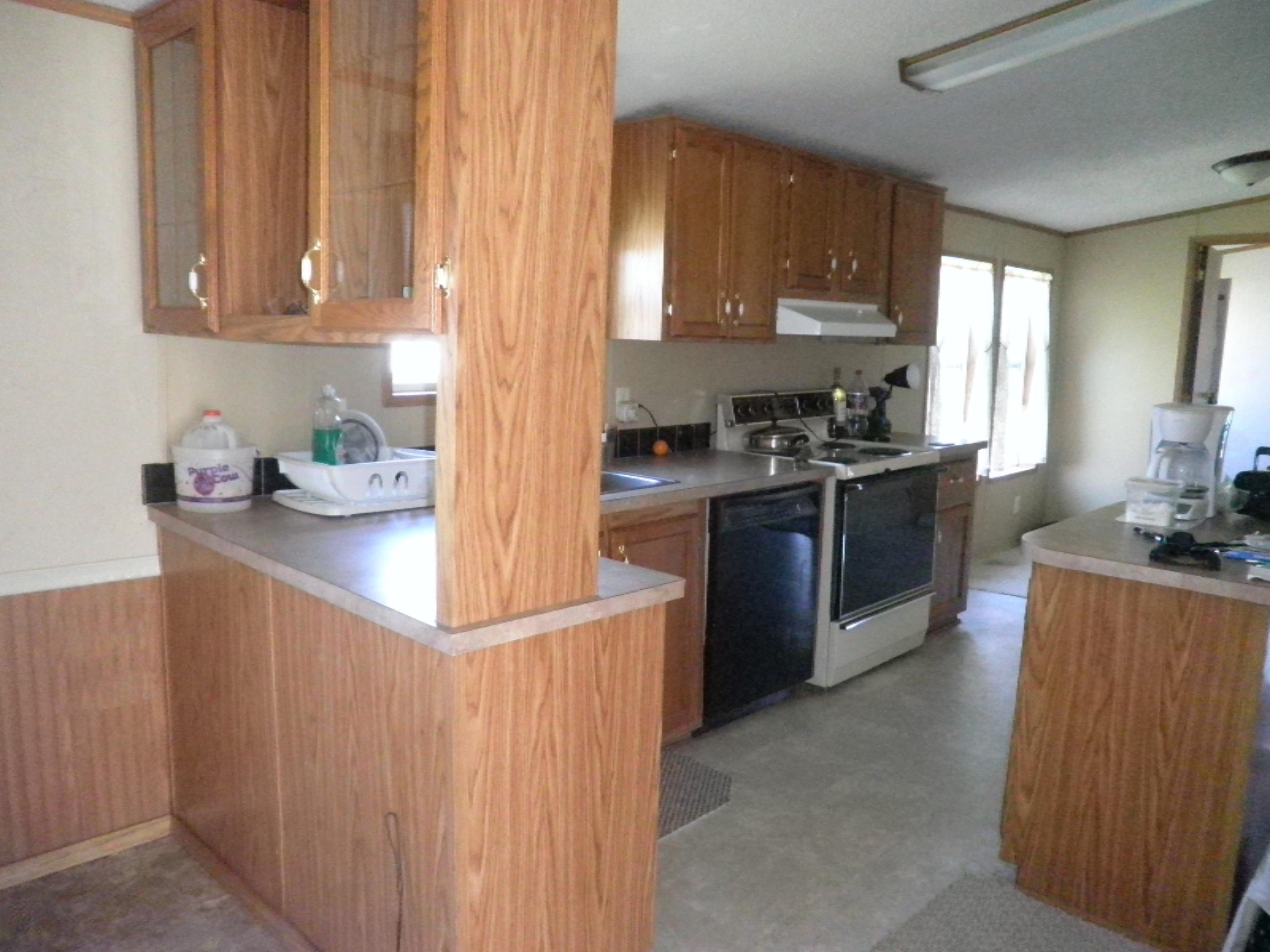 2007 West Long Lake Road Orleans, MI 48865 - Photo 4 of 31 P1010055