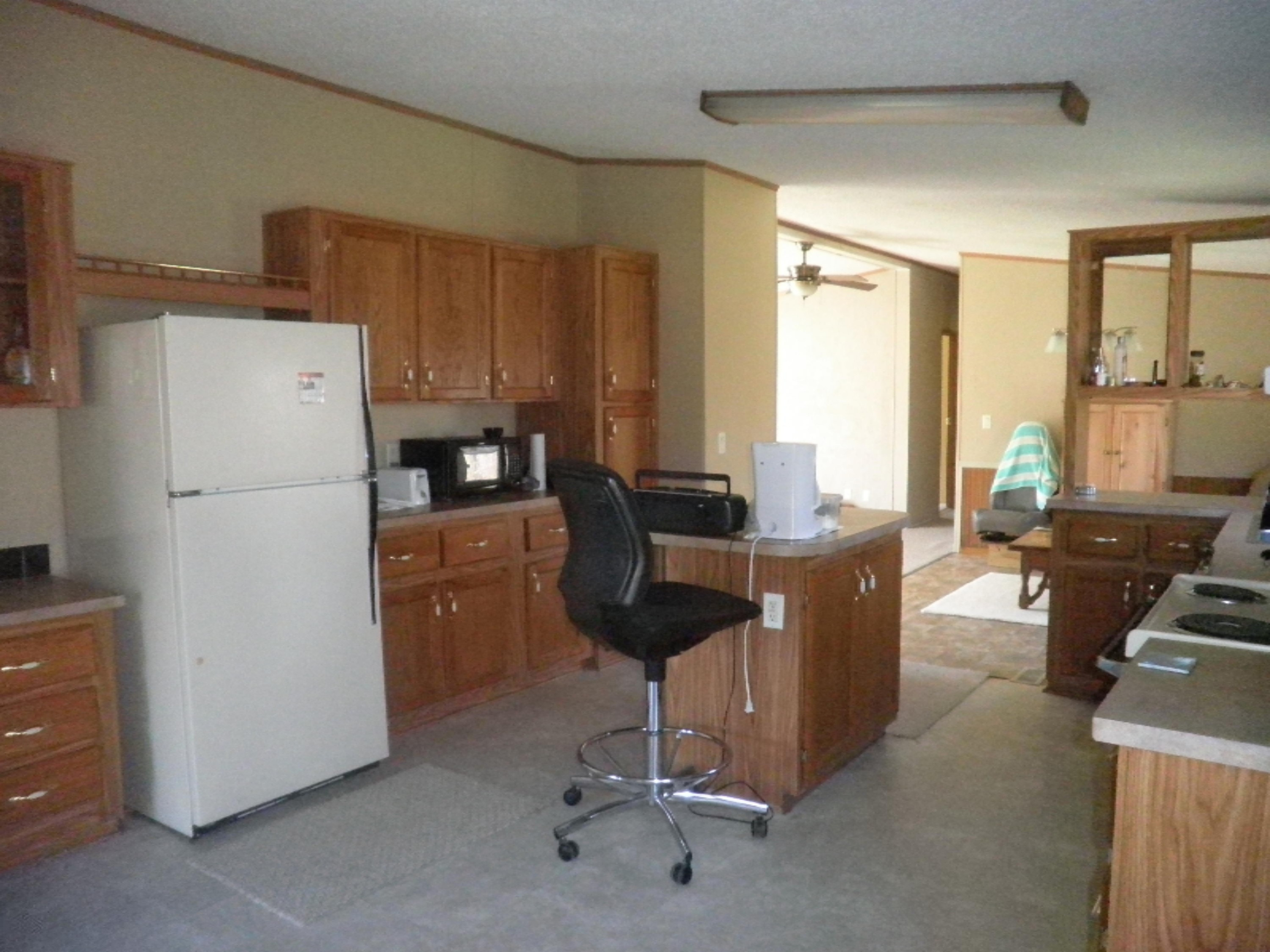 2007 West Long Lake Road Orleans, MI 48865 - Photo 8 of 31 P1010071