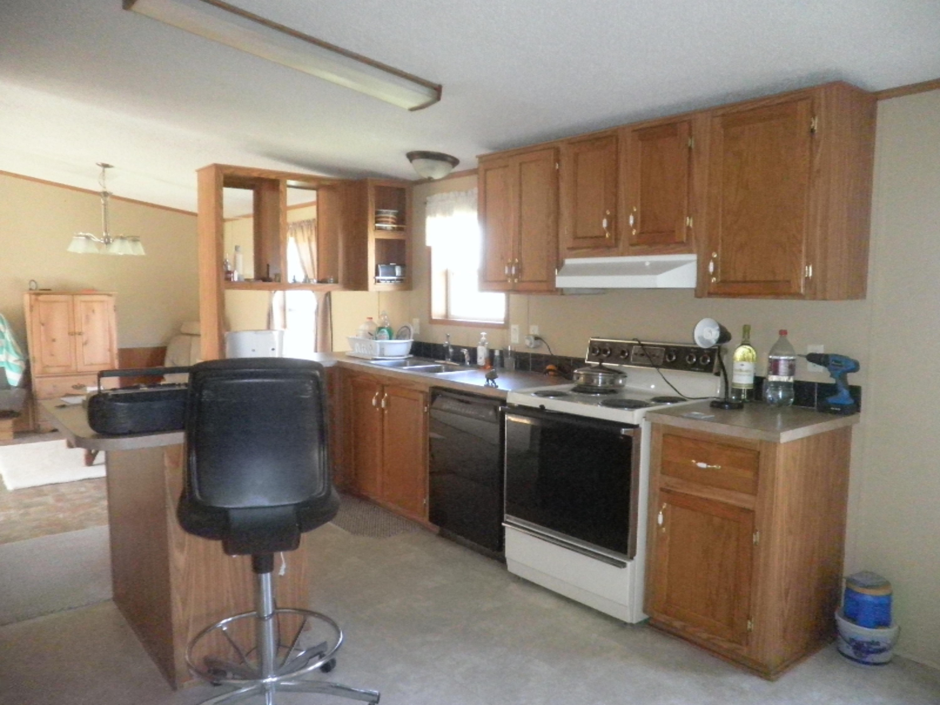 2007 West Long Lake Road Orleans, MI 48865 - Photo 9 of 31 P1010065