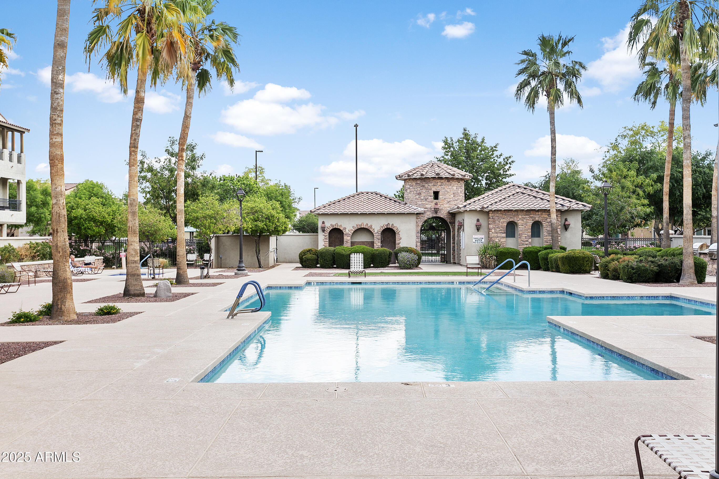 1661 East Hampton Lane Gilbert, AZ 85295 - Photo 27 of 31 a view of a swimming pool with a lawn chairs under palm trees