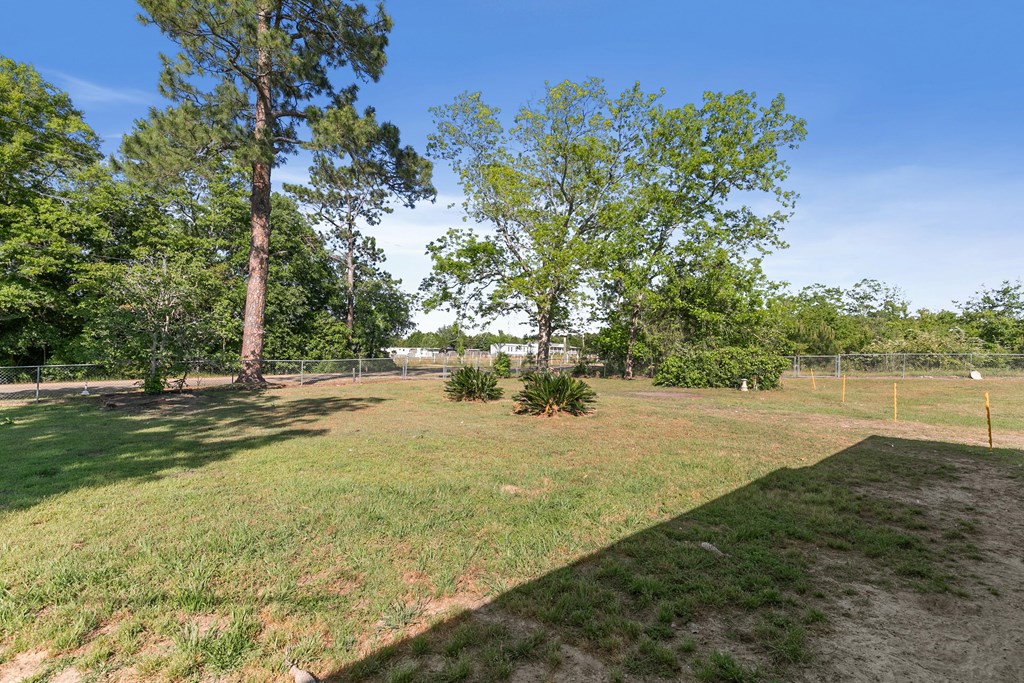 210 Bauman Road Ashford, AL 36312 - Photo 6 of 36 Gallery Image 6