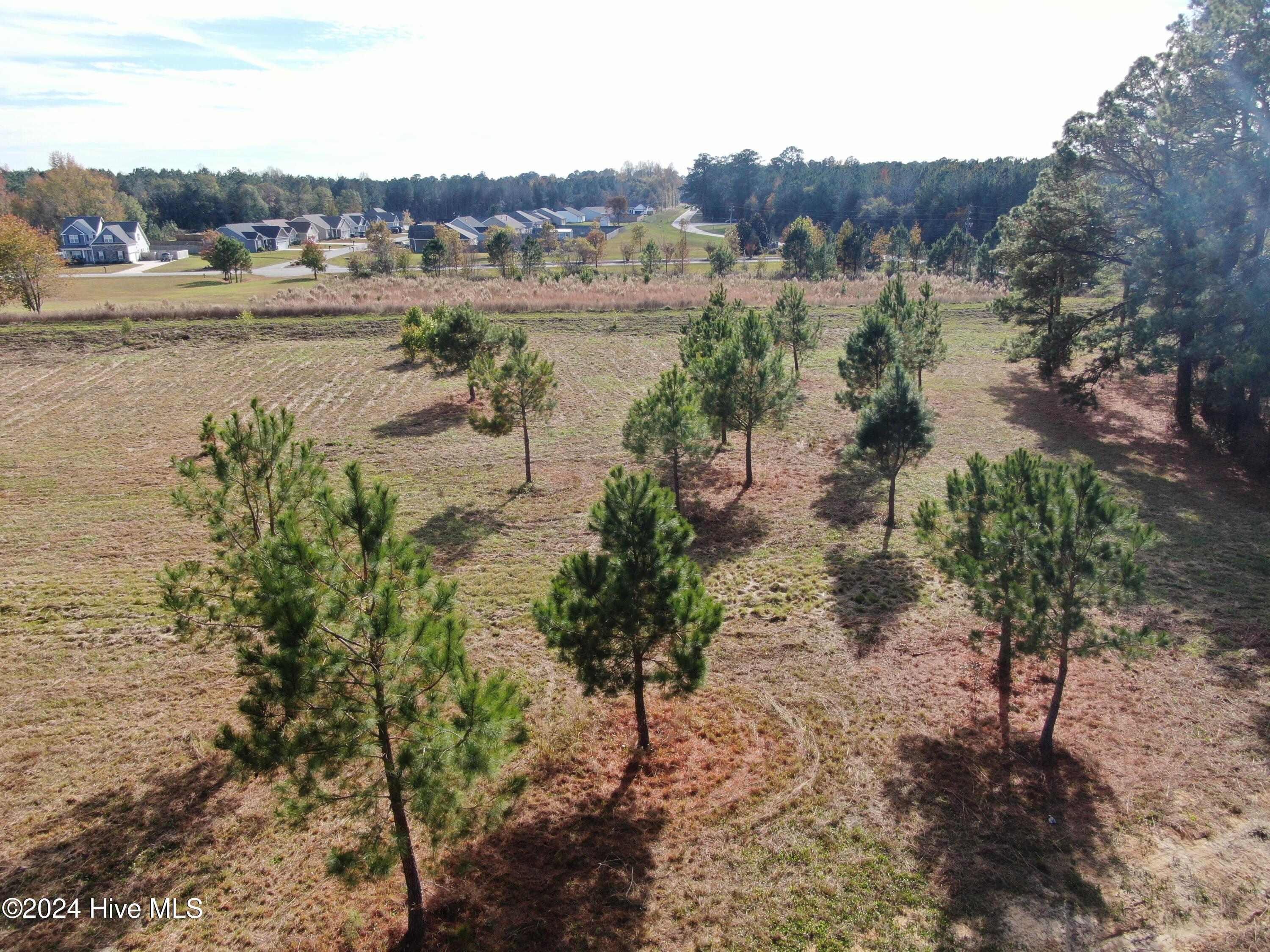104 Abbey Road Vanceboro, NC 28586 - Photo 6 of 6 DJI_0525