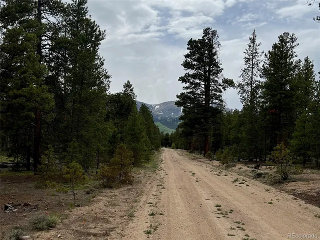 a view of a dry yard with trees in the background