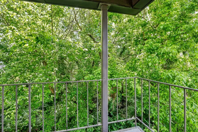 a view of a lush green forest with lawn chairs and plants