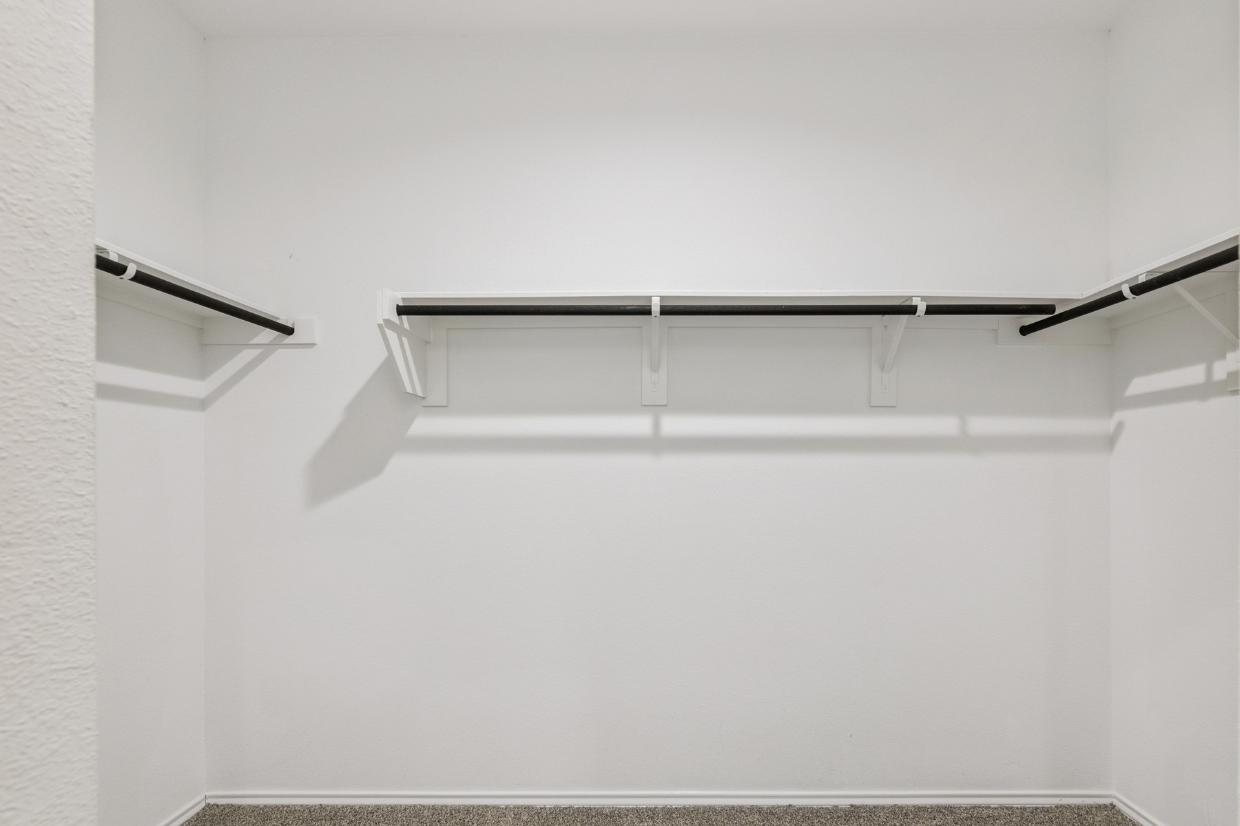 22431 Gilded Peak Lane Spring, TX 77373 - Photo 12 of 18 Walk in closet in primary bedroom