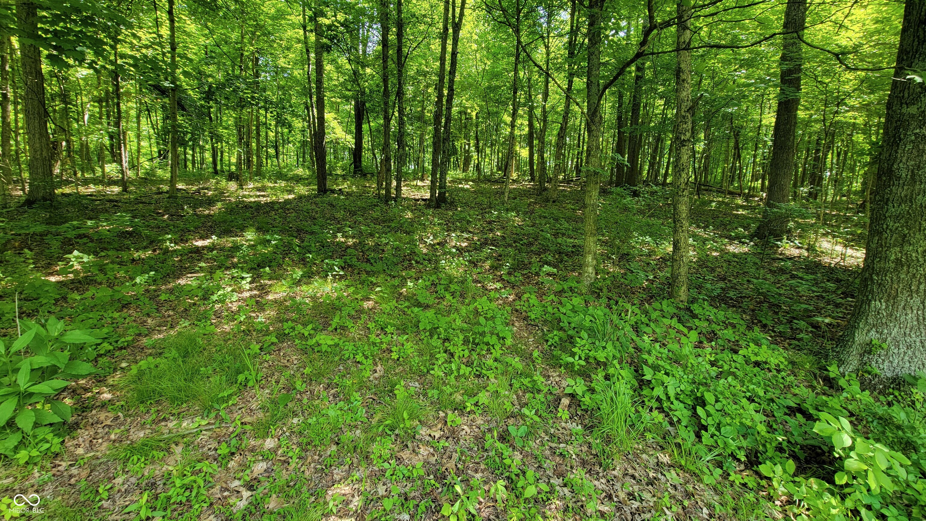 7778 Woods Ridge Road Dillsboro, IN 47018 - Photo 67 of 98