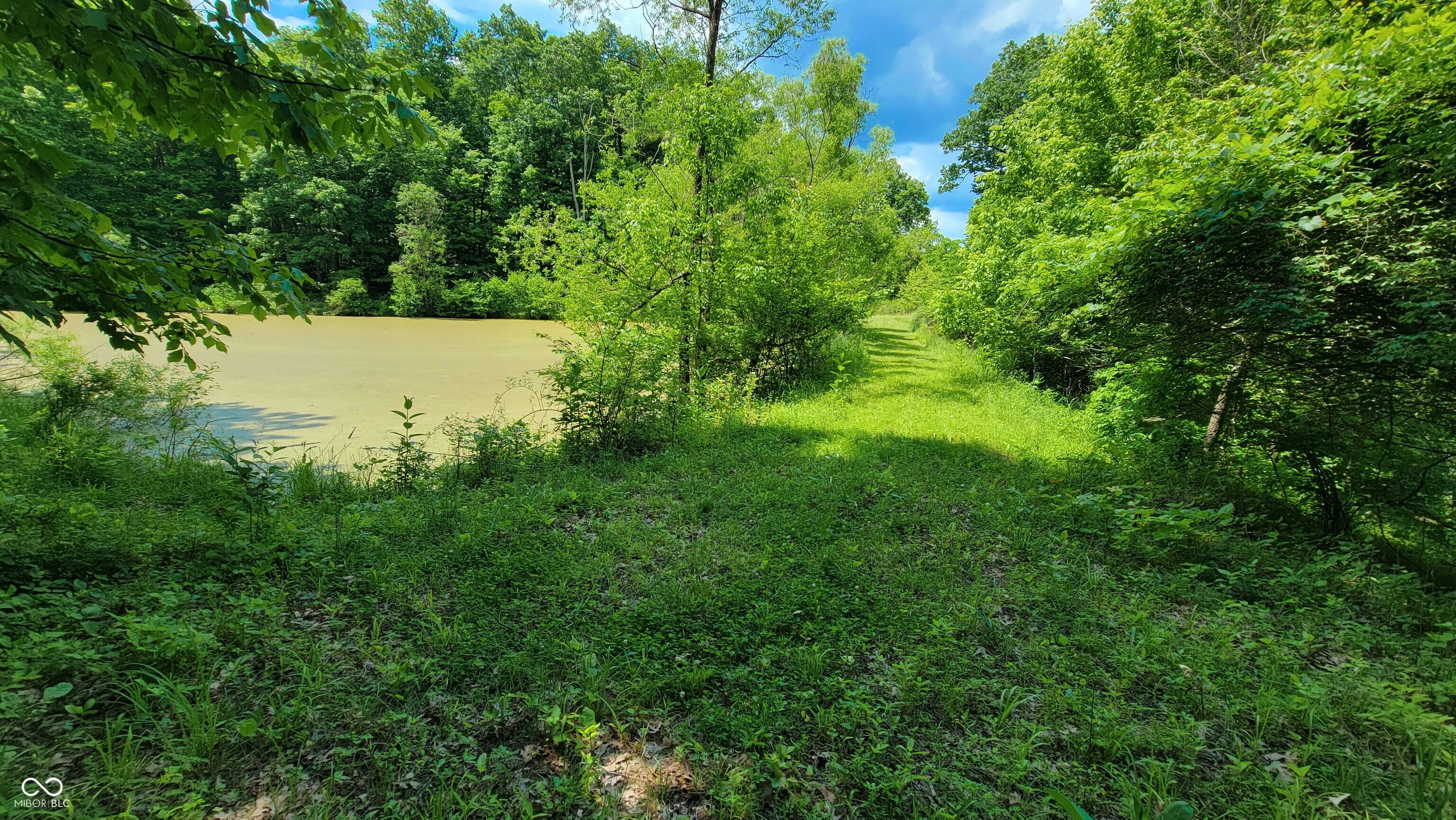 7778 Woods Ridge Road Dillsboro, IN 47018 - Photo 68 of 98